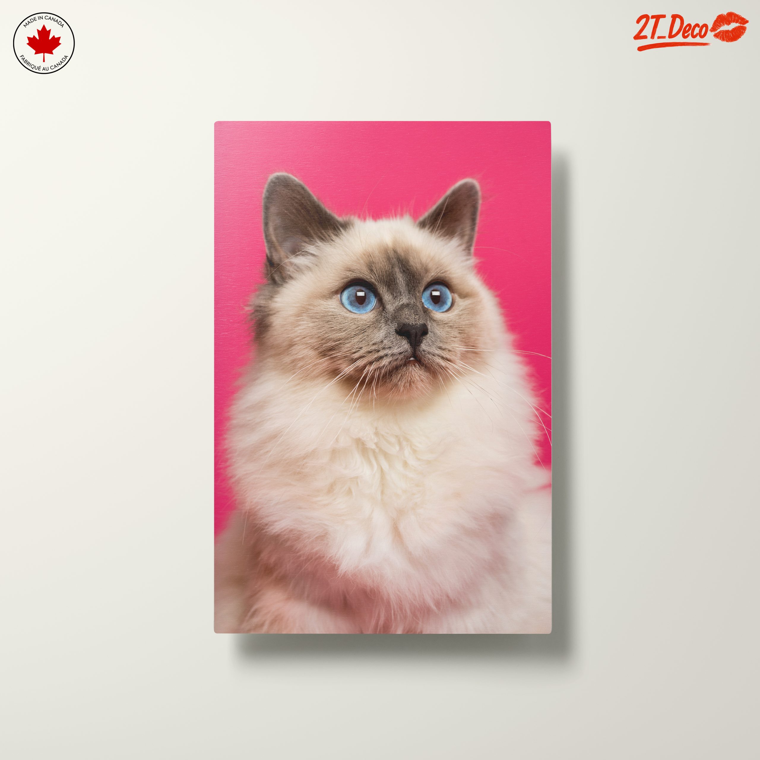 Stunning Cat Portrait with Blue Eyes - Image 10