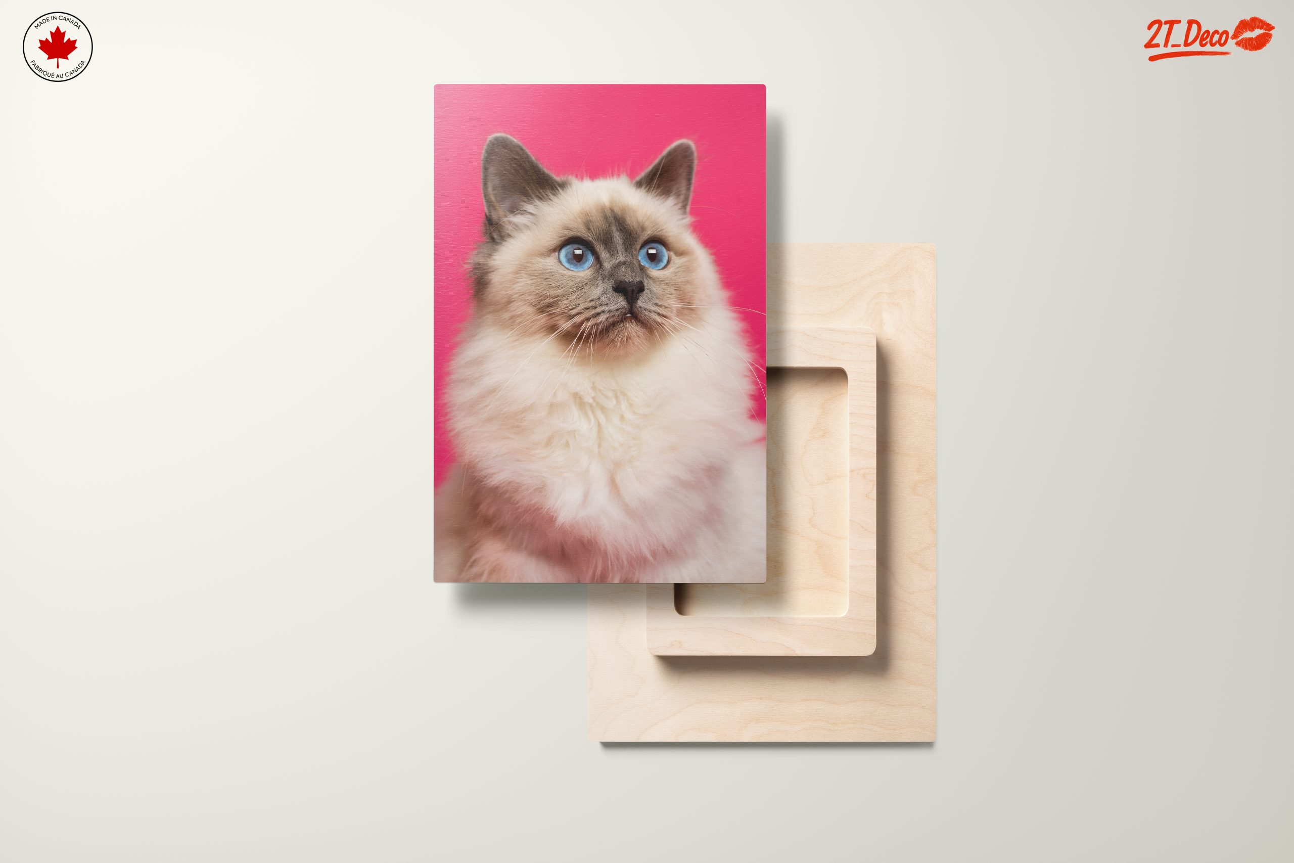 Stunning Cat Portrait with Blue Eyes - Image 11