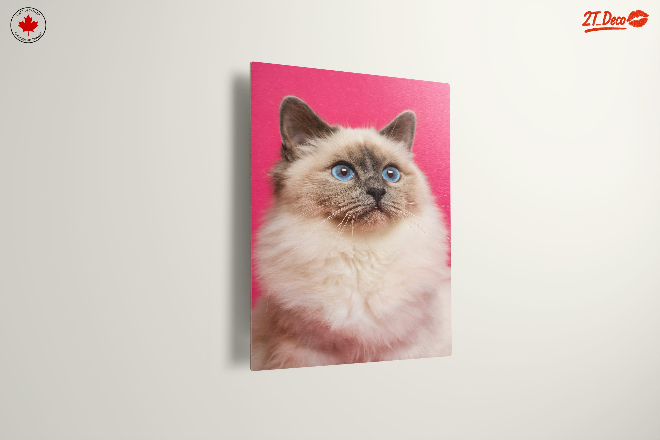 Stunning Cat Portrait with Blue Eyes - Image 13