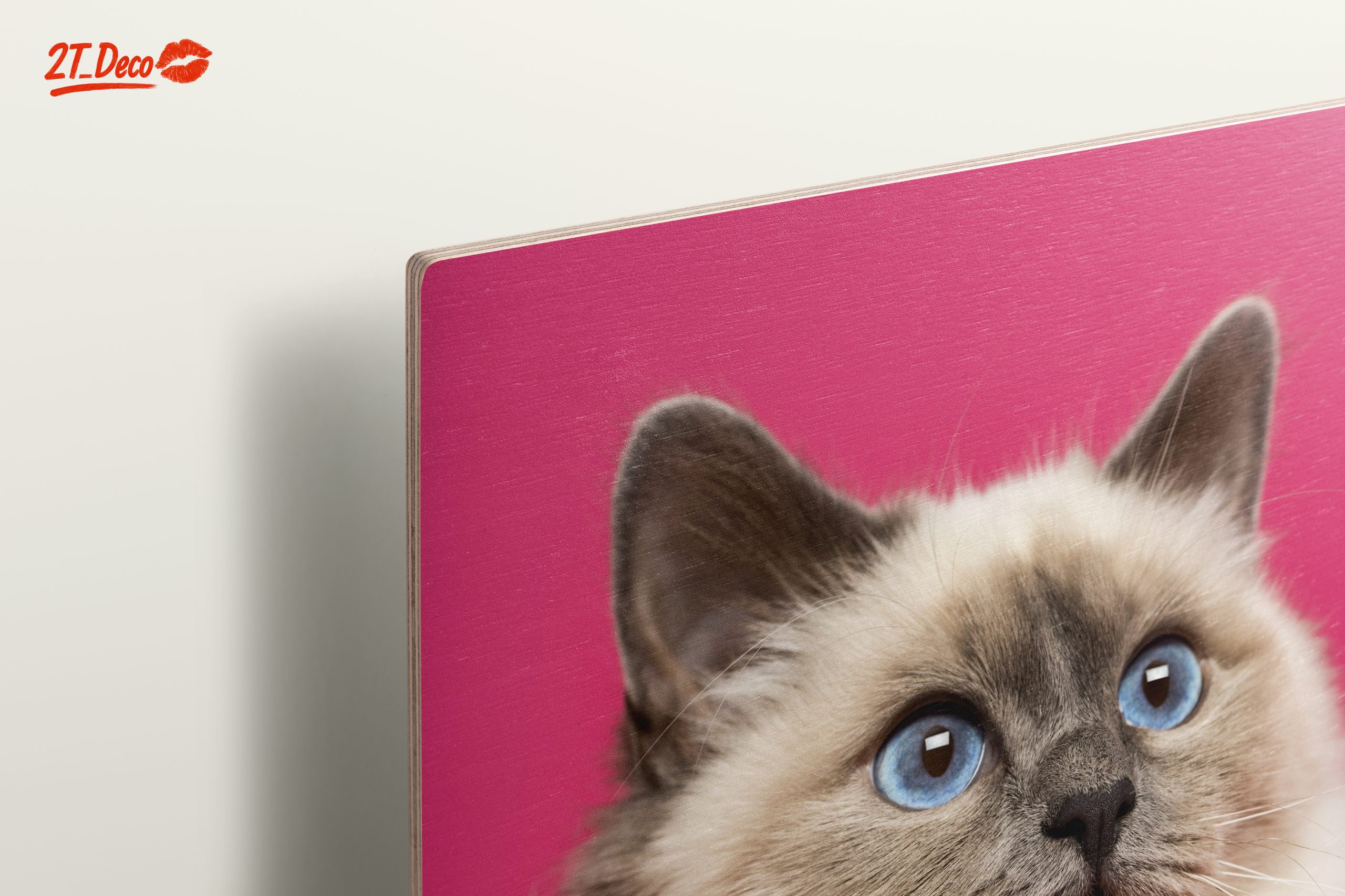 Stunning Cat Portrait with Blue Eyes - Image 15