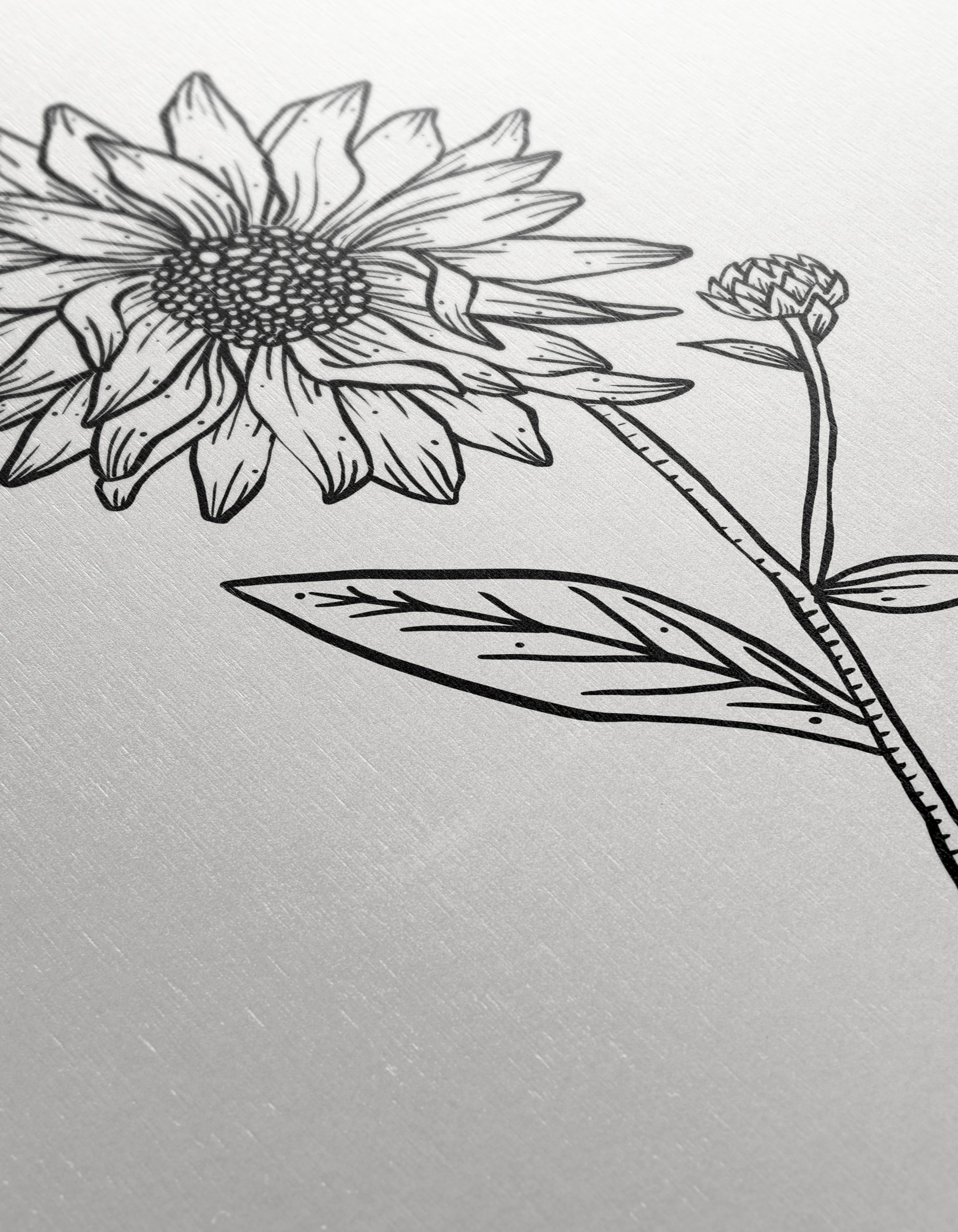 Hand-Drawn Sunflower Botanical Art - Image 12