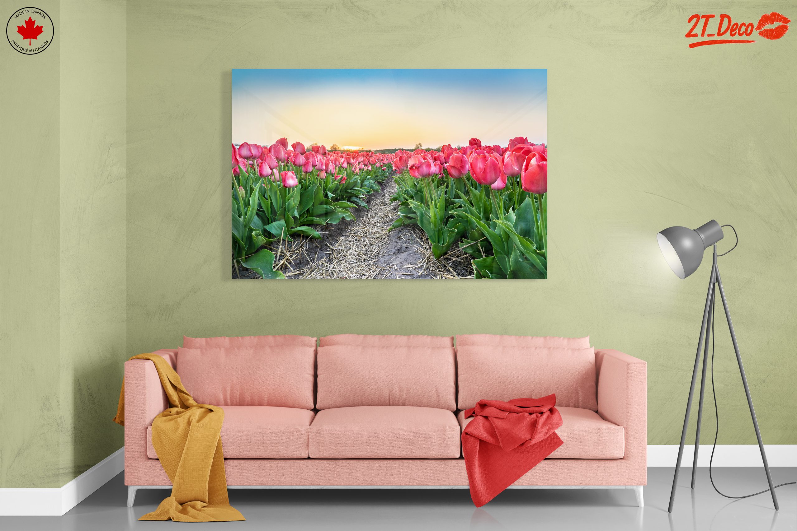 Vibrant Tulip Field at Sunset - Image 7