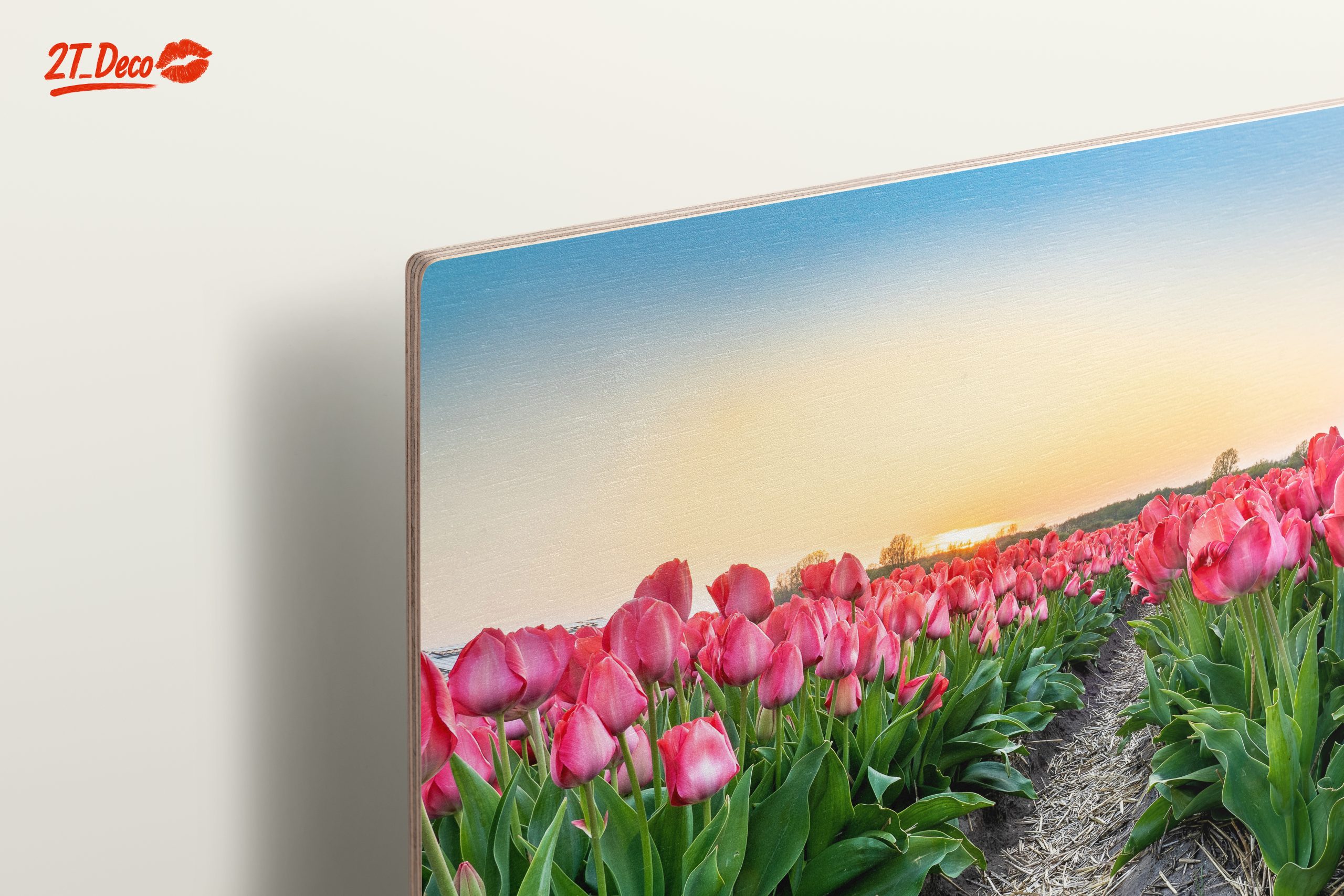 Vibrant Tulip Field at Sunset - Image 15