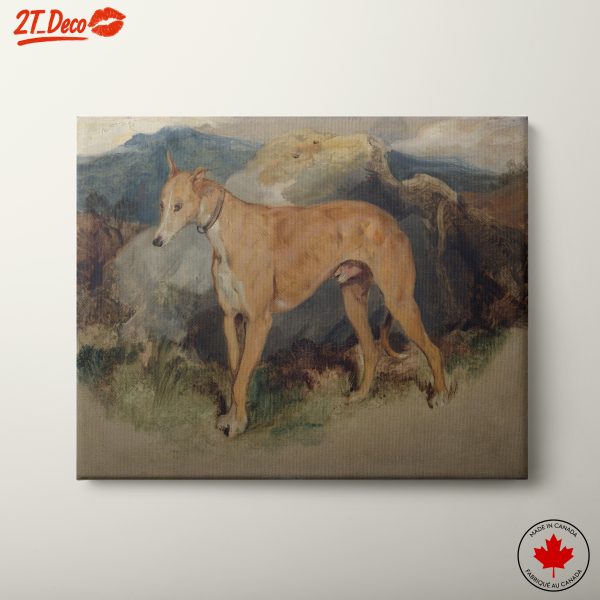 Portrait of a Greyhound in Nature