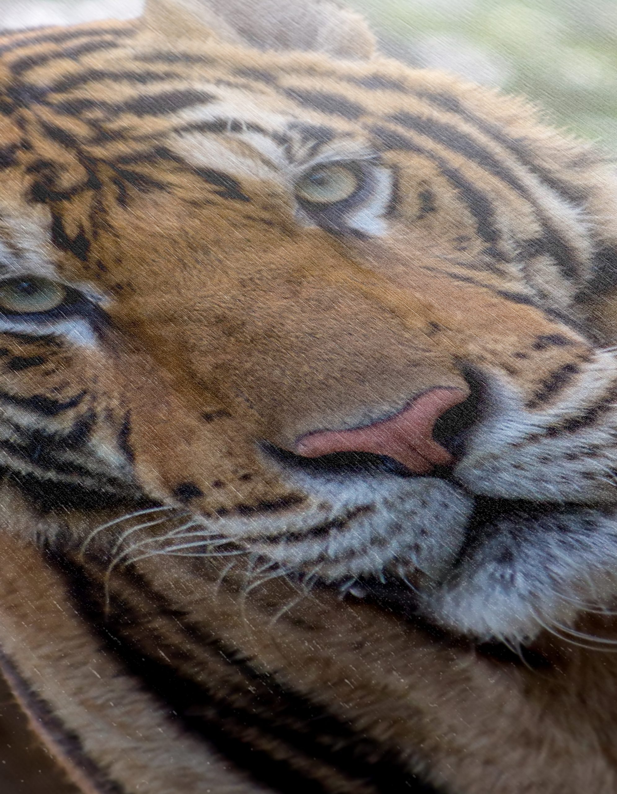 Realistic Tiger Wall Art for Animal Lovers - Image 12