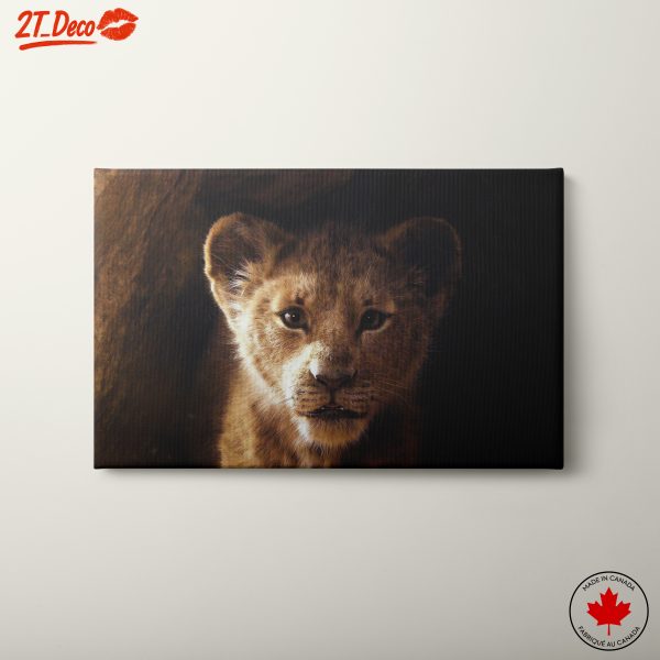Lion Cub Portrait with Soft Lighting