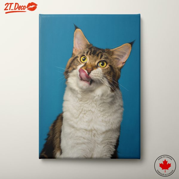 Playful Cat Licking Its Lips
