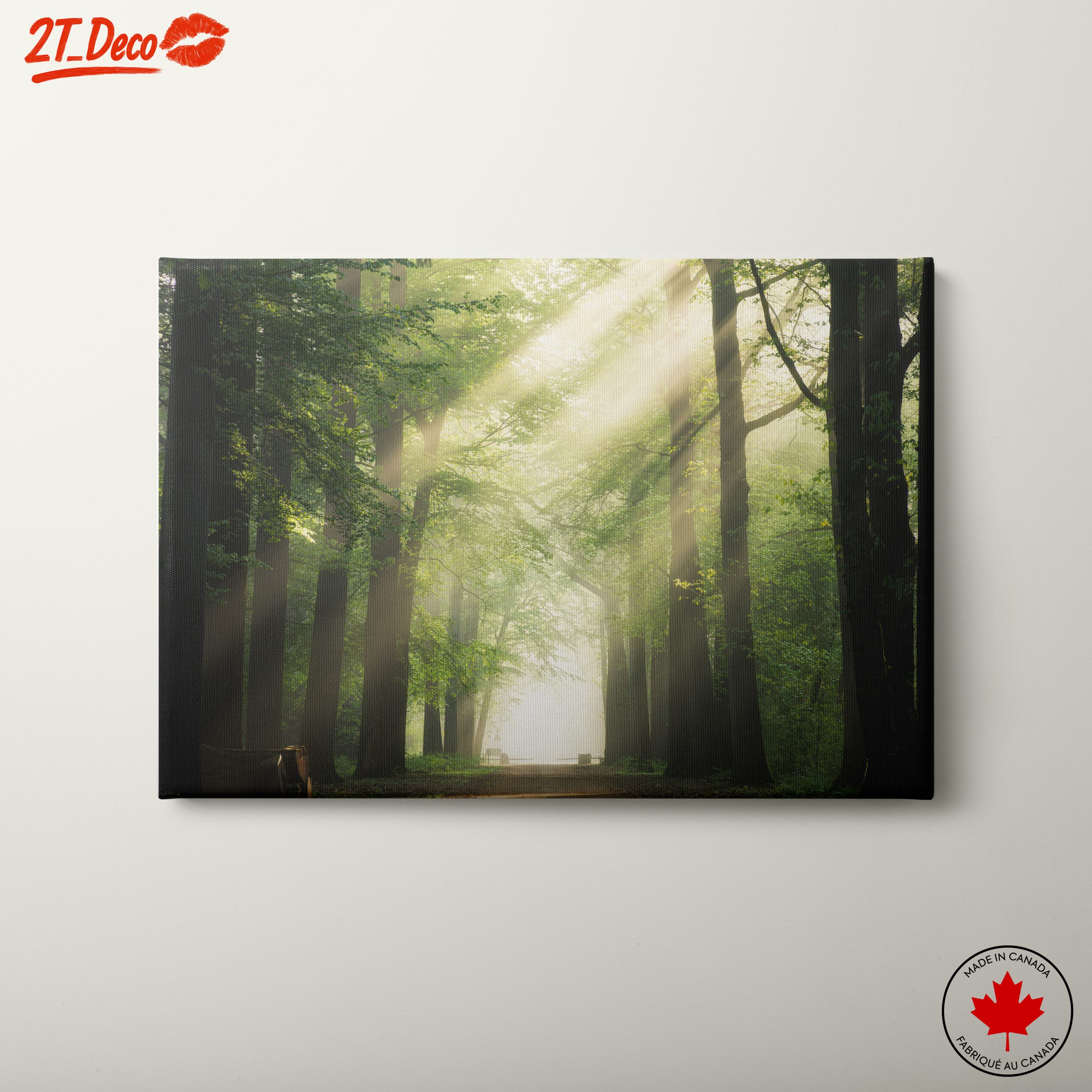 Misty Forest Path With Sunlight