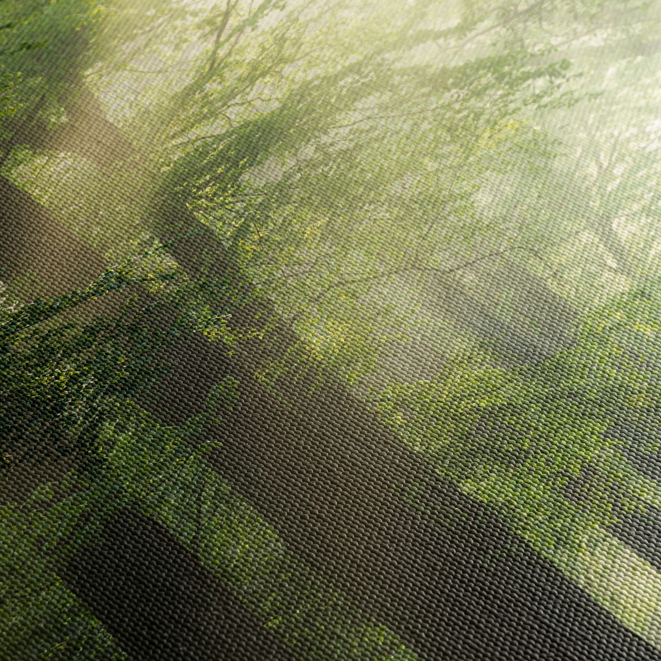 Misty Forest Path With Sunlight - Image 5