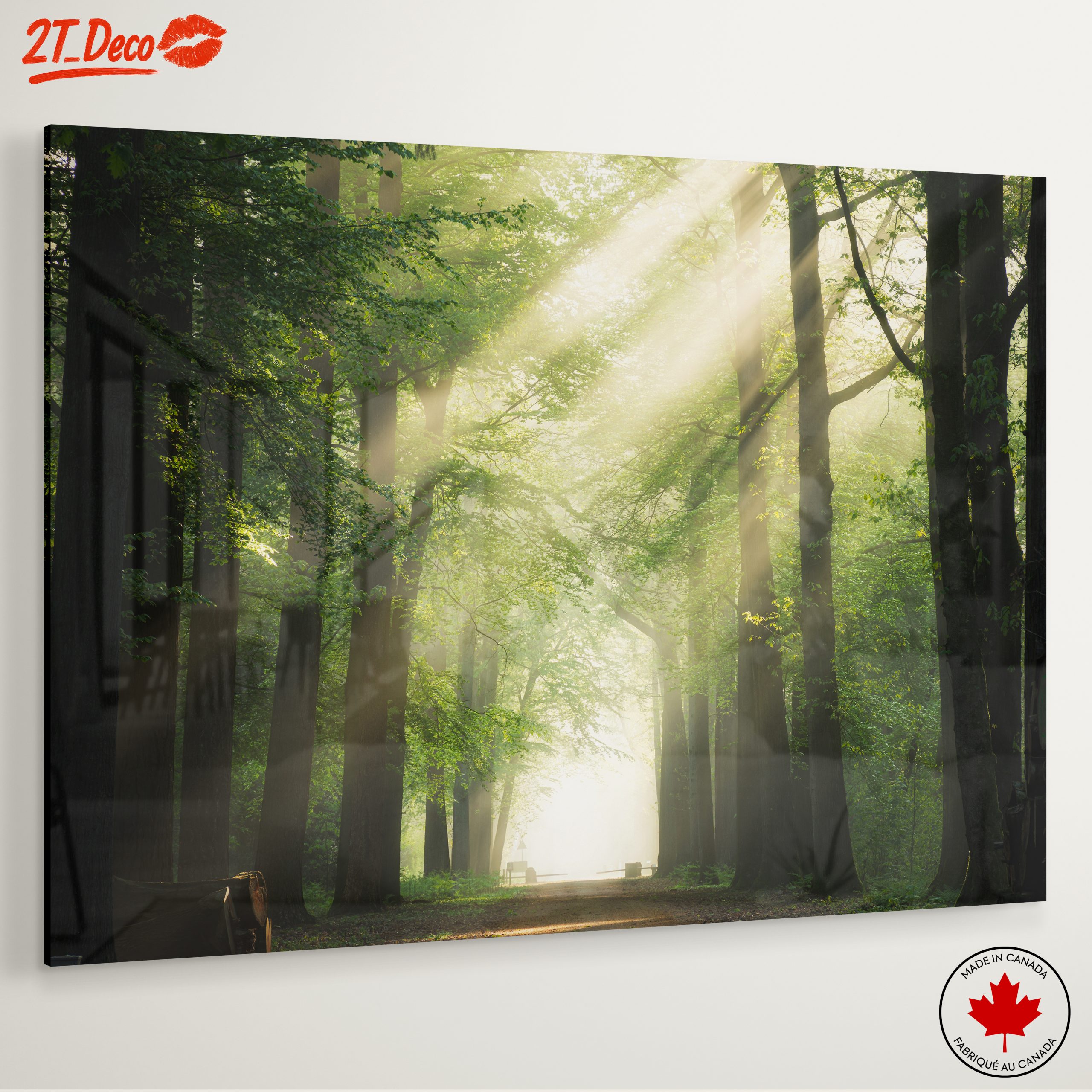 Misty Forest Path With Sunlight - Image 6