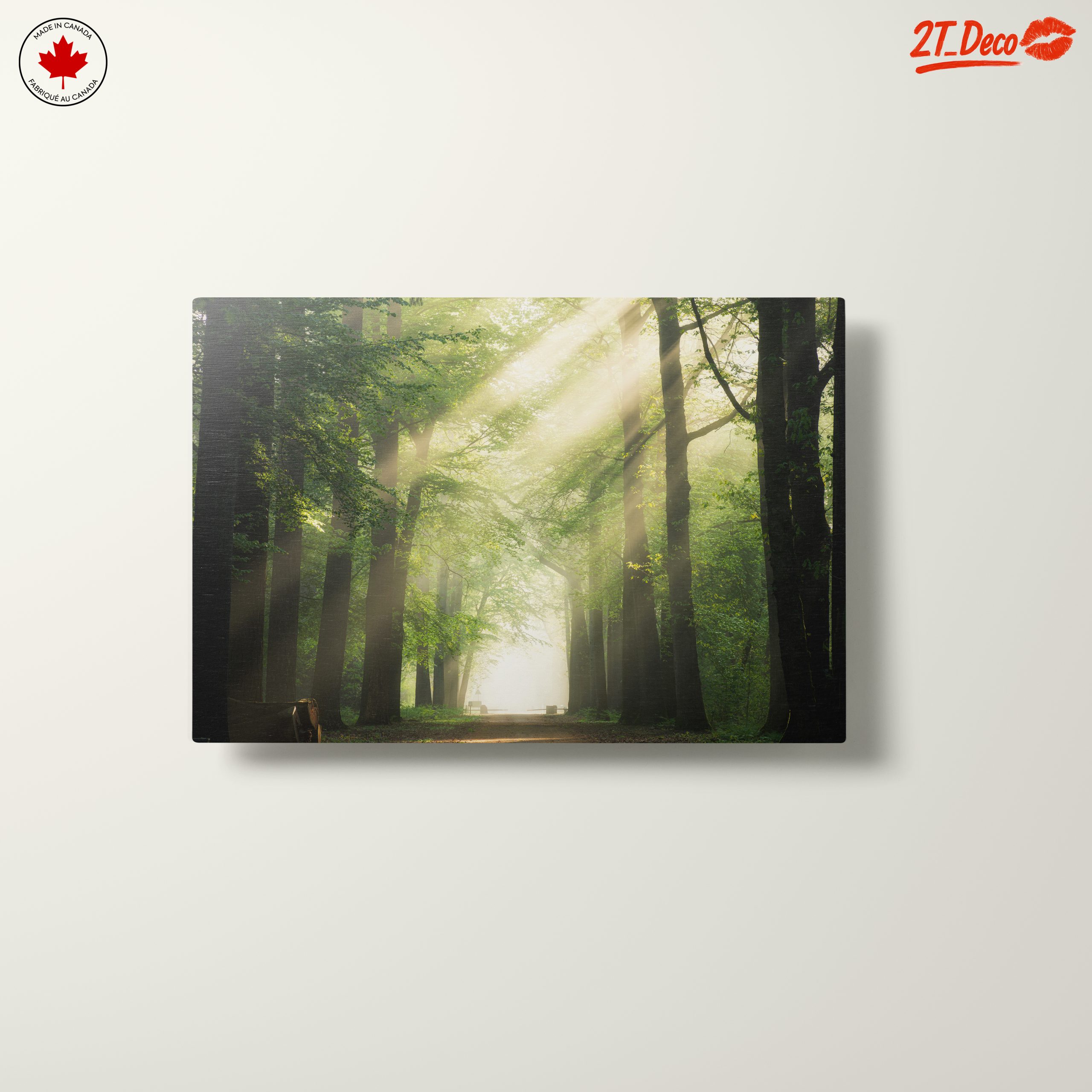 Misty Forest Path With Sunlight - Image 10