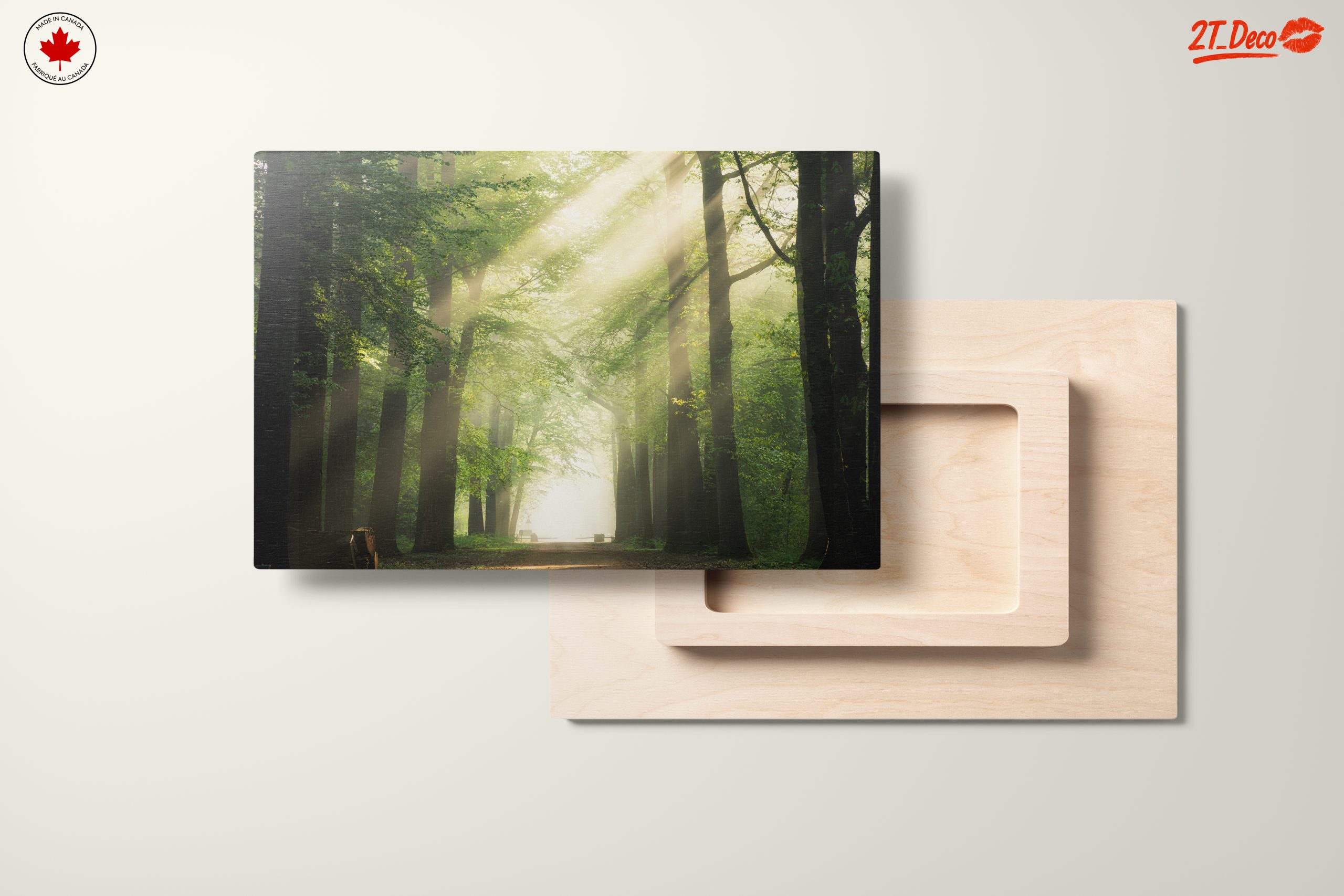 Misty Forest Path With Sunlight - Image 11