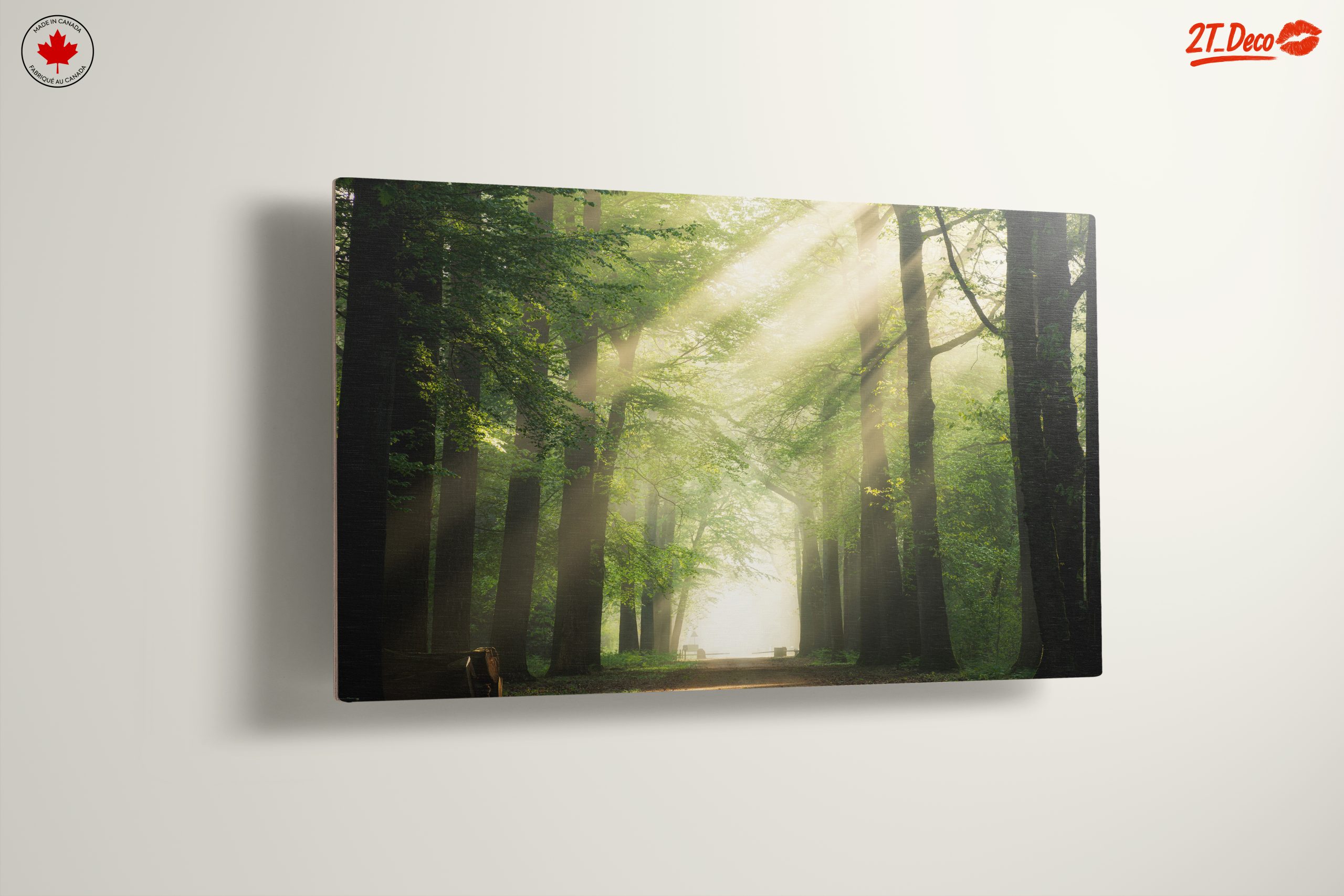 Misty Forest Path With Sunlight - Image 13