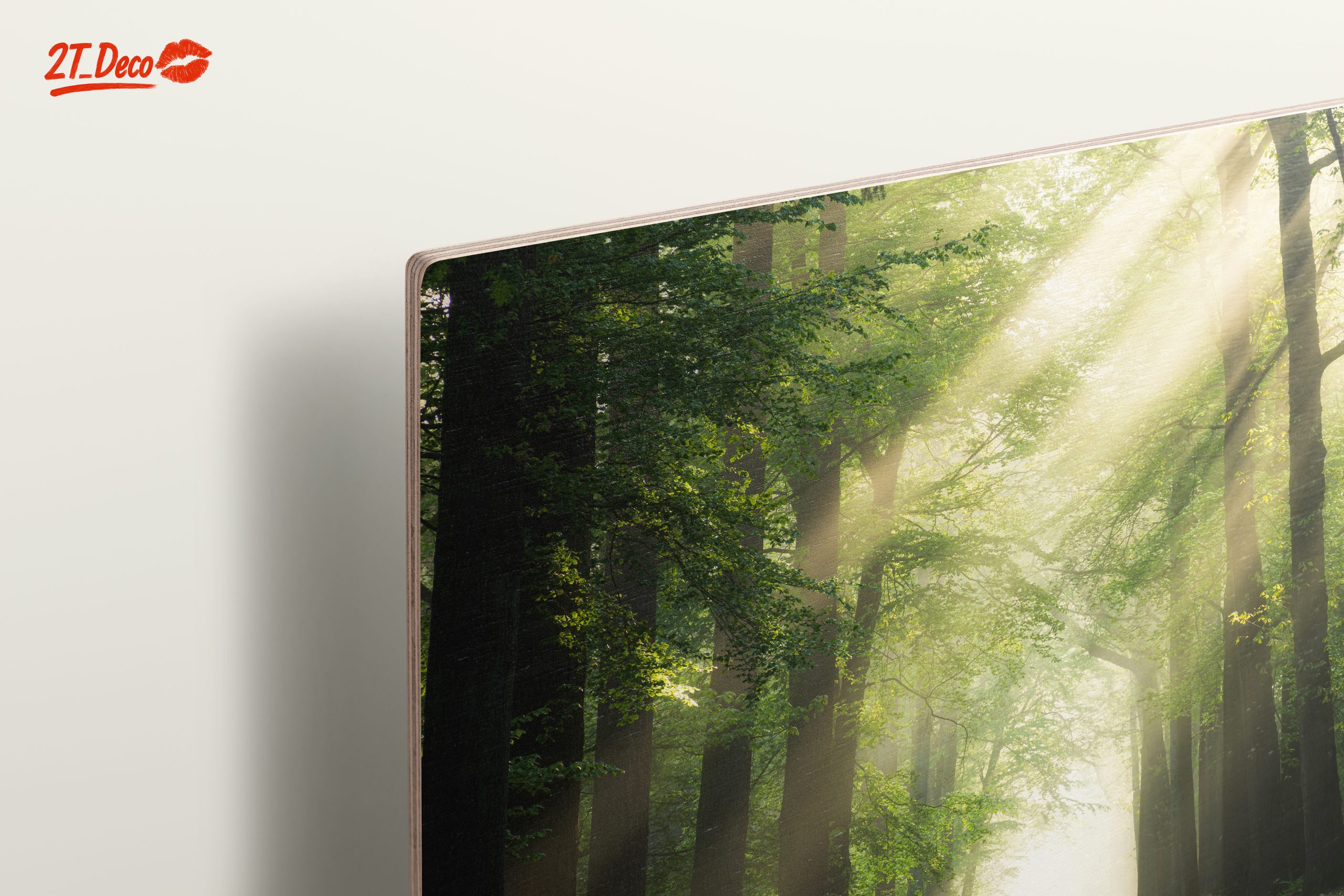 Misty Forest Path With Sunlight - Image 15