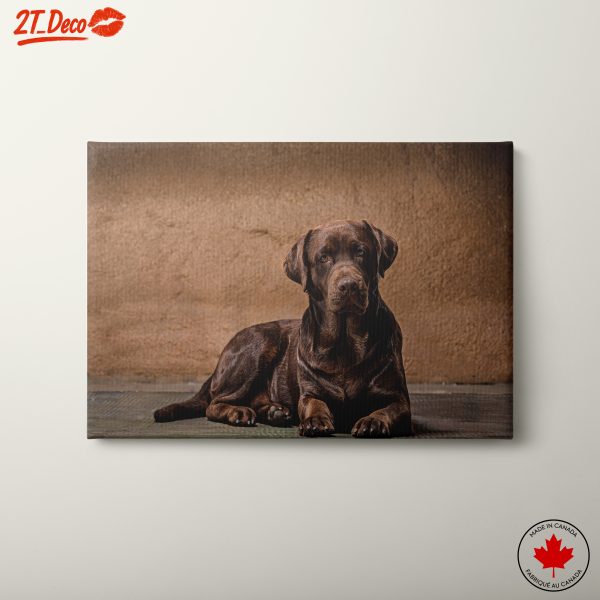 Charming Labrador Retriever Wall Art