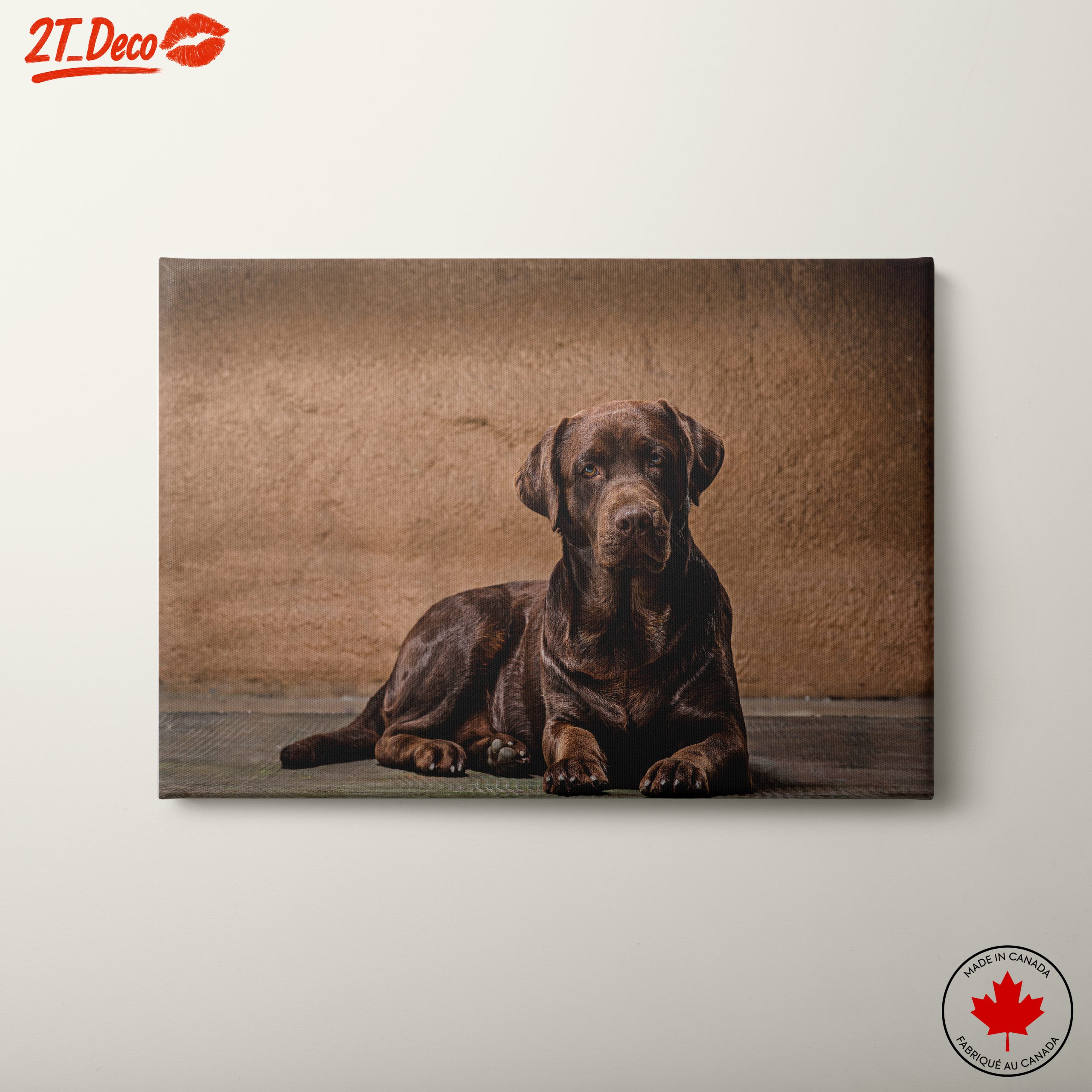 Charming Labrador Retriever Wall Art