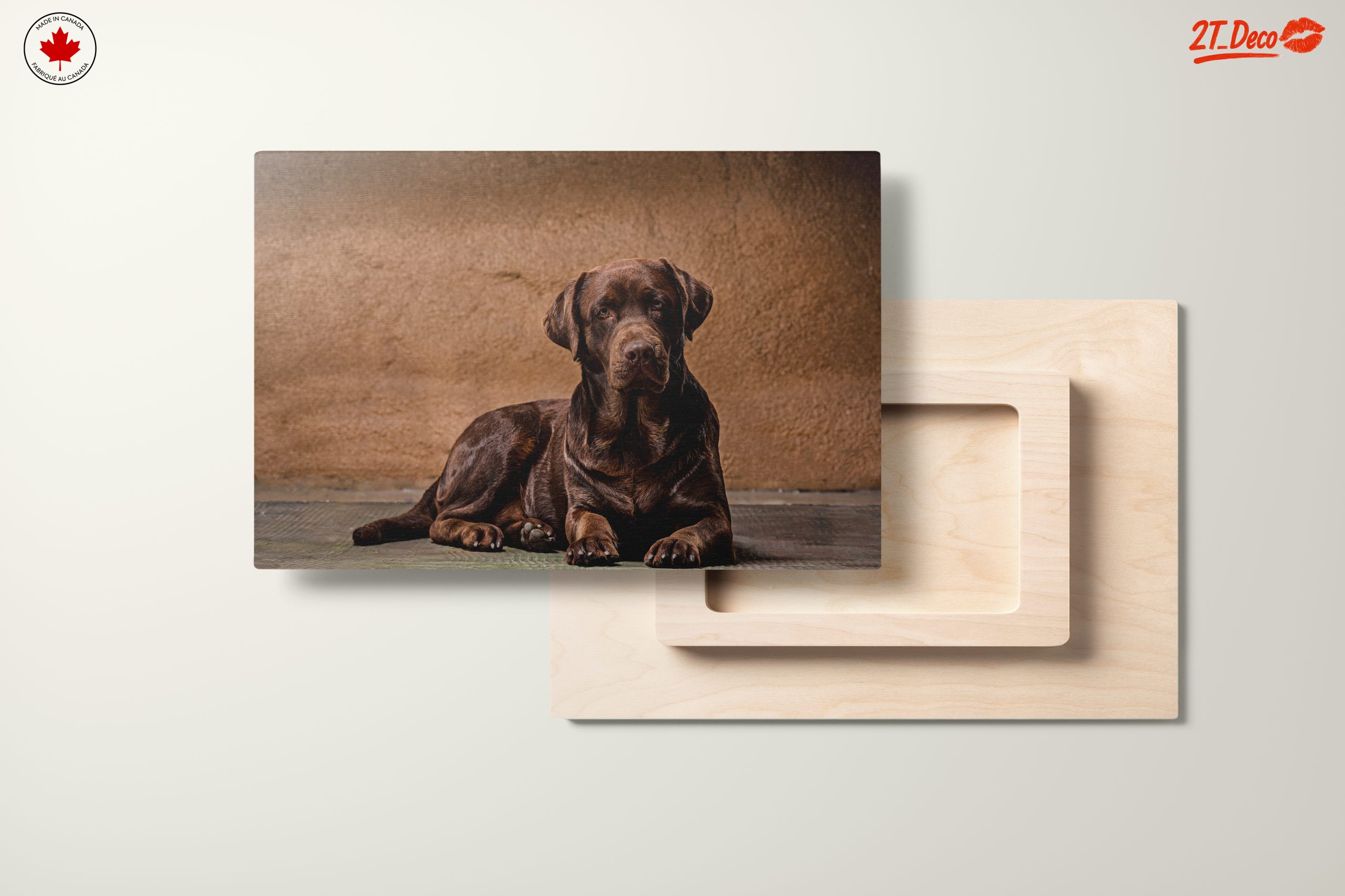 Charming Labrador Retriever Wall Art - Image 11
