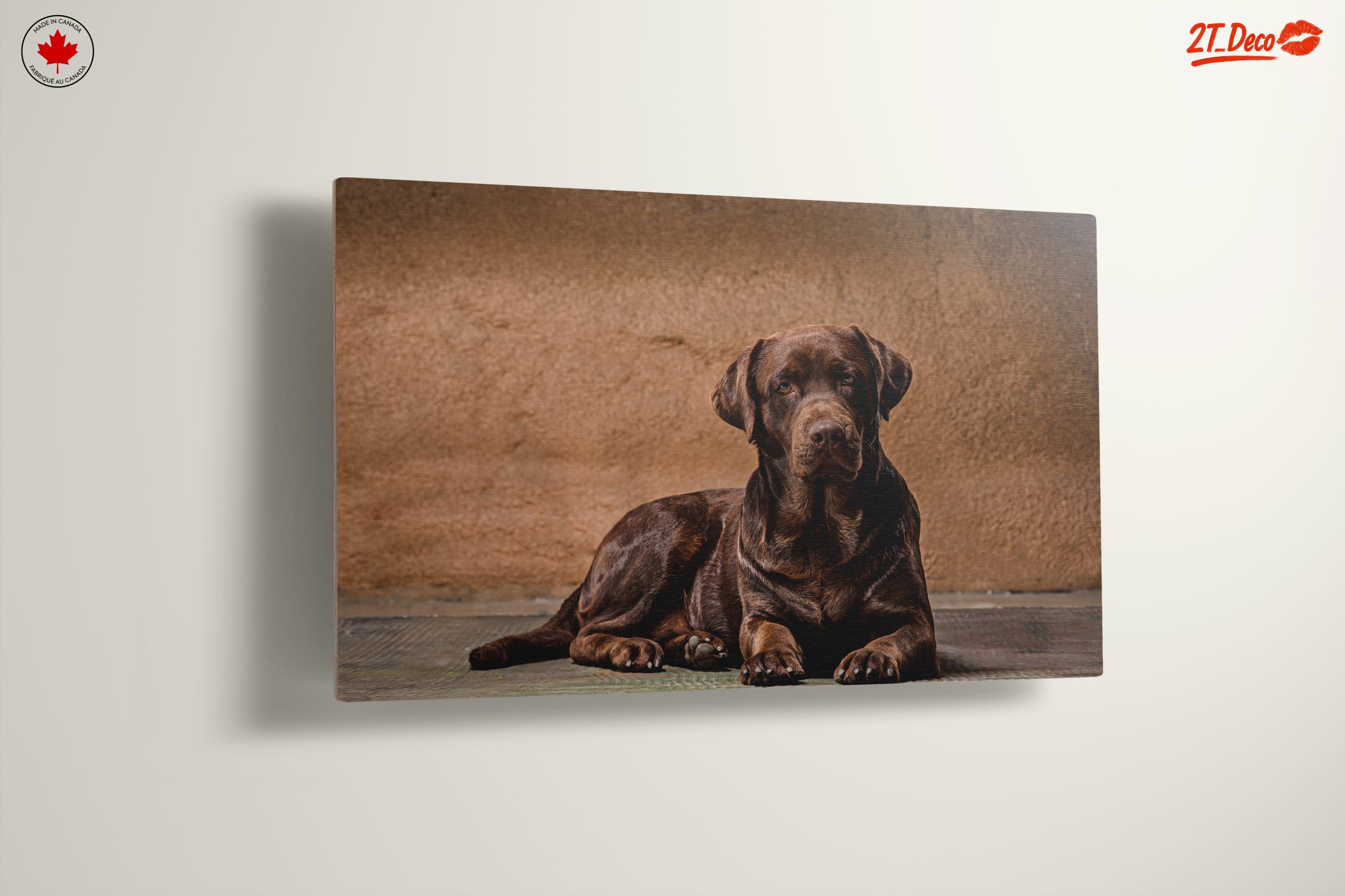 Charming Labrador Retriever Wall Art - Image 13