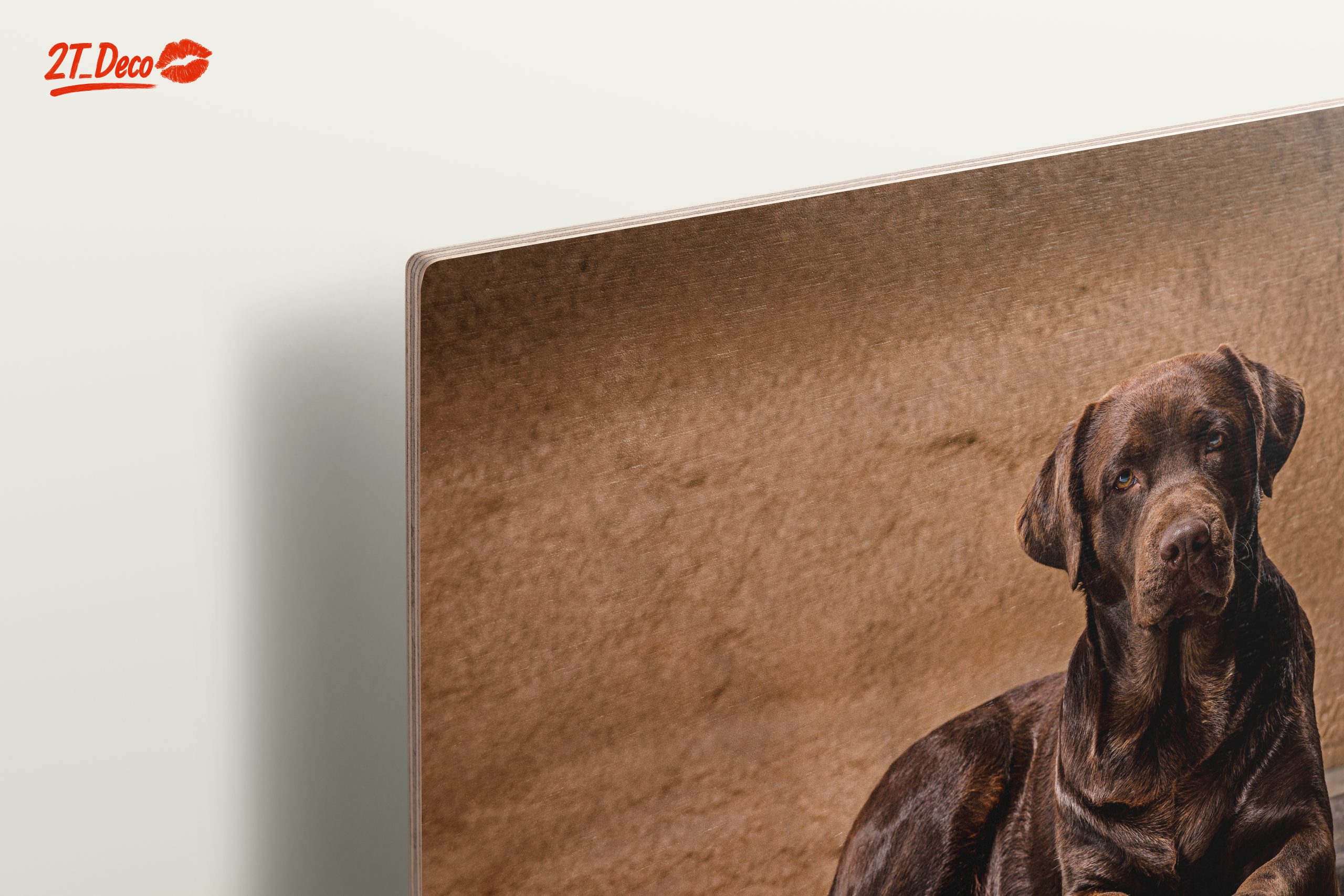 Charming Labrador Retriever Wall Art - Image 15