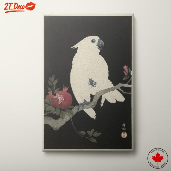 Elegant White Bird on Branch