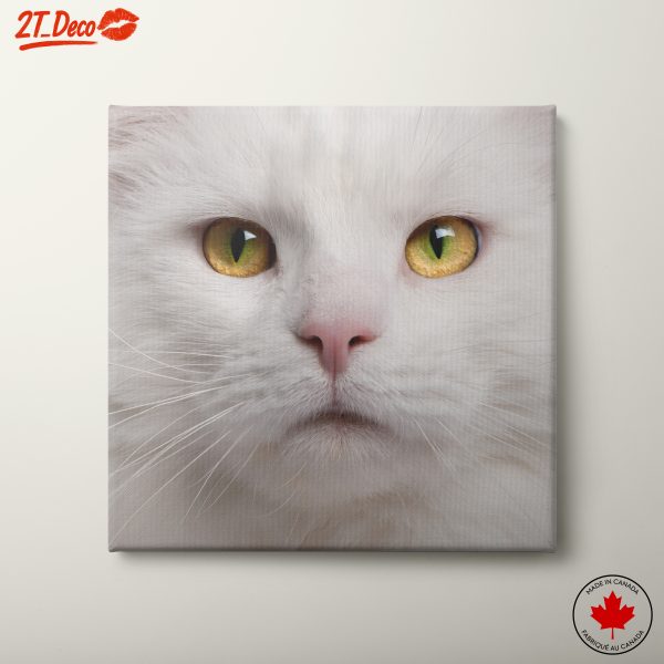 Stunning White Cat Close-Up Art