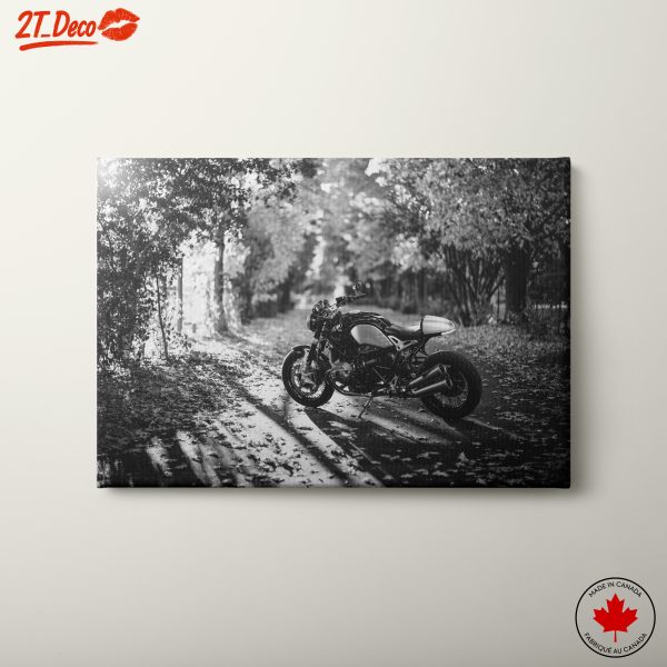 Stylish Motorcycle in Autumn Setting