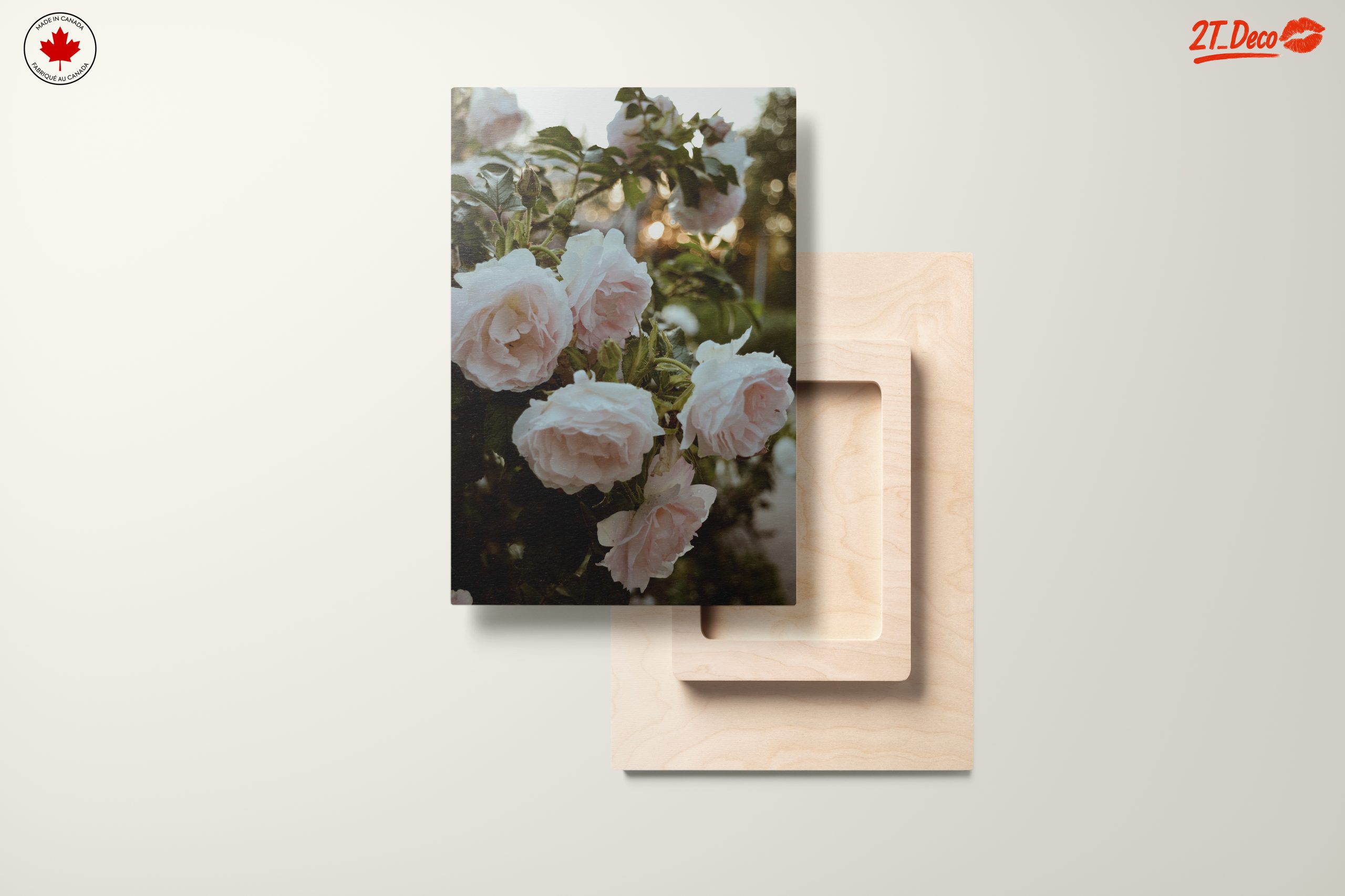 Delicate Pink Roses in Bloom - Image 11