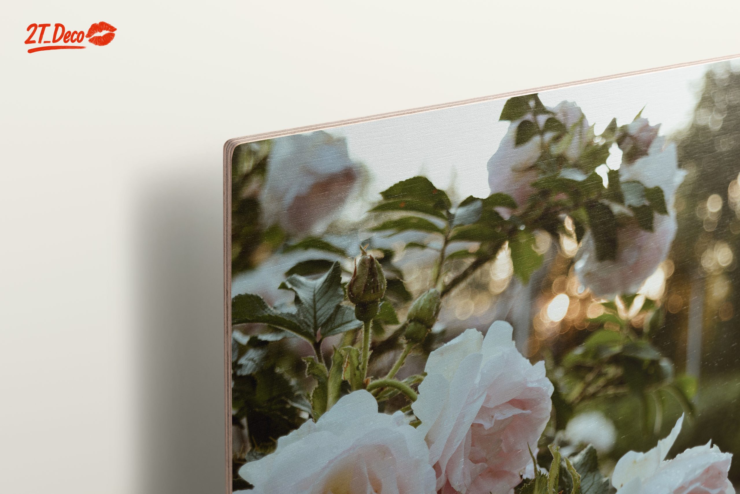Delicate Pink Roses in Bloom - Image 15