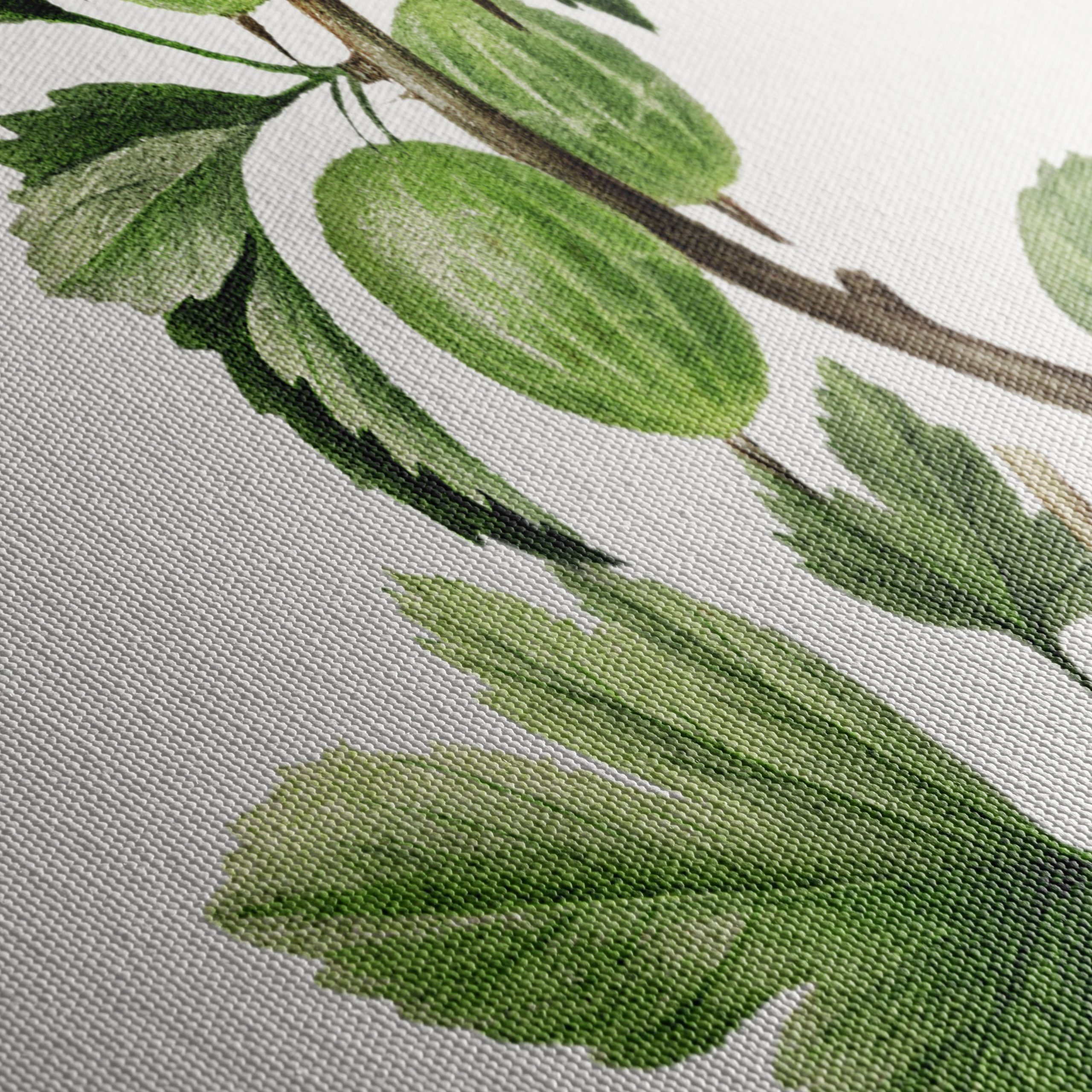Gooseberries Botanical Illustration - Image 5
