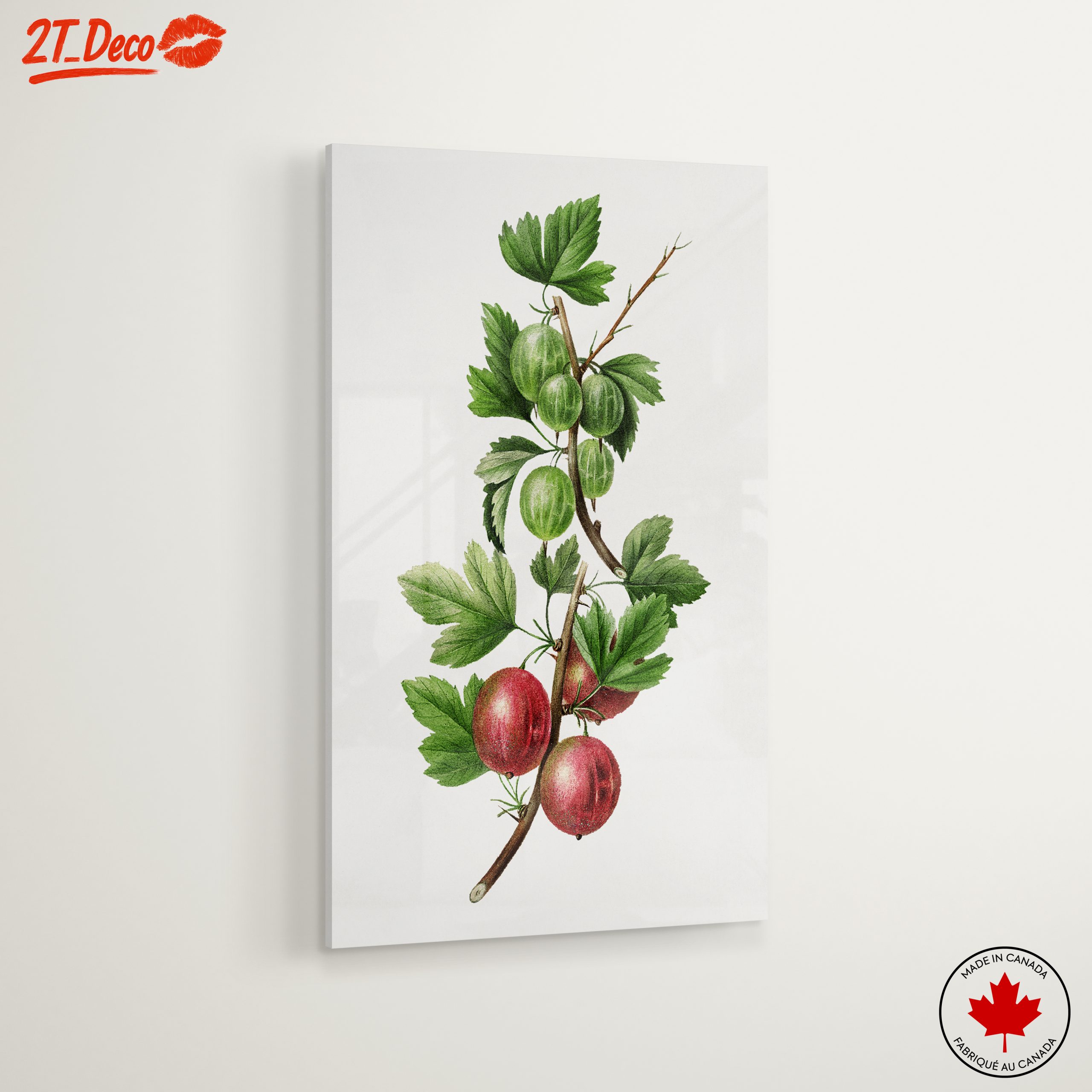 Gooseberries Botanical Illustration - Image 6