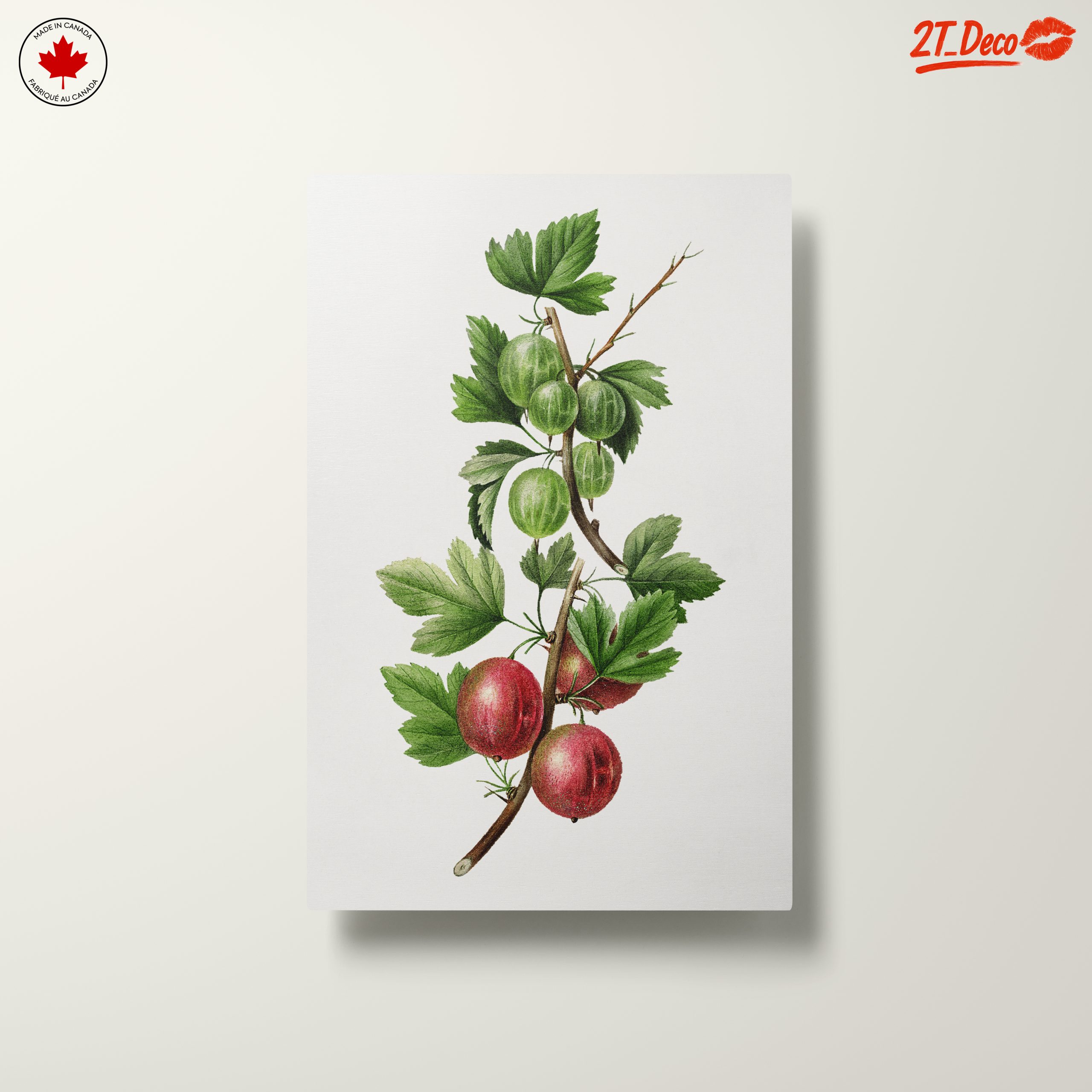 Gooseberries Botanical Illustration - Image 10