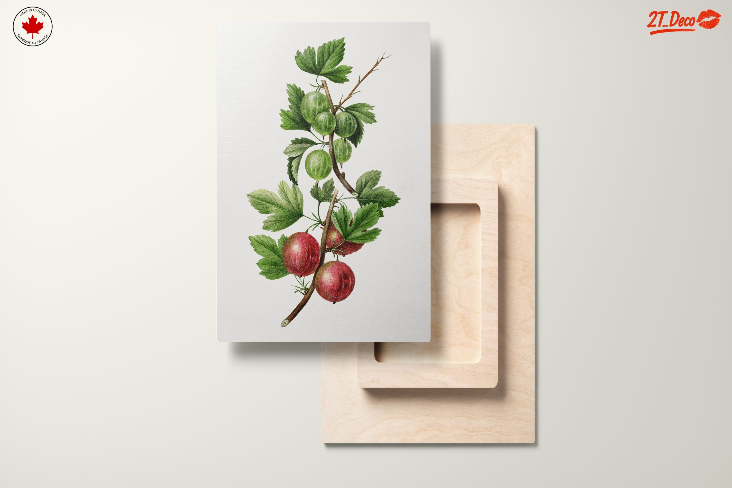 Gooseberries Botanical Illustration - Image 11