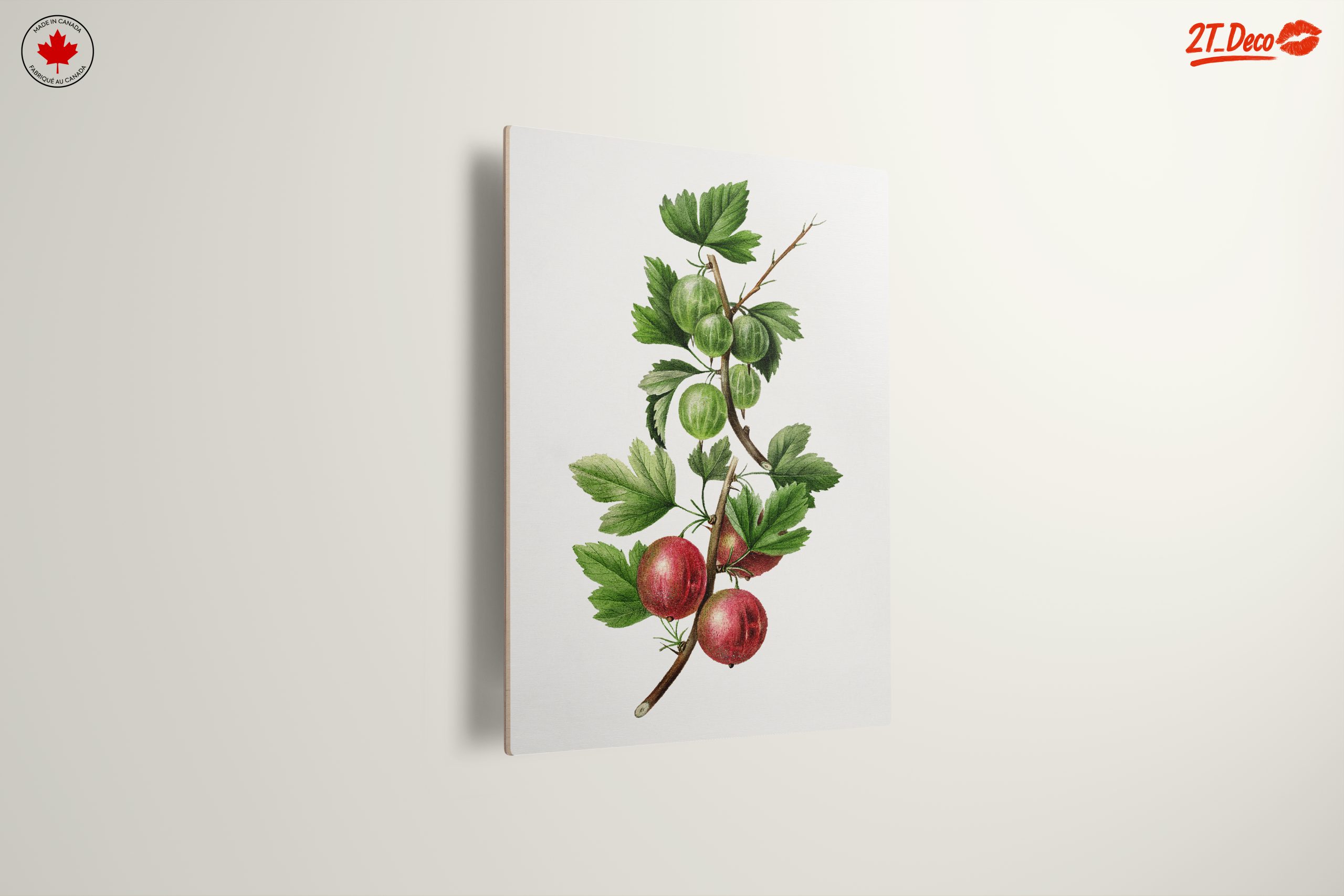 Gooseberries Botanical Illustration - Image 13