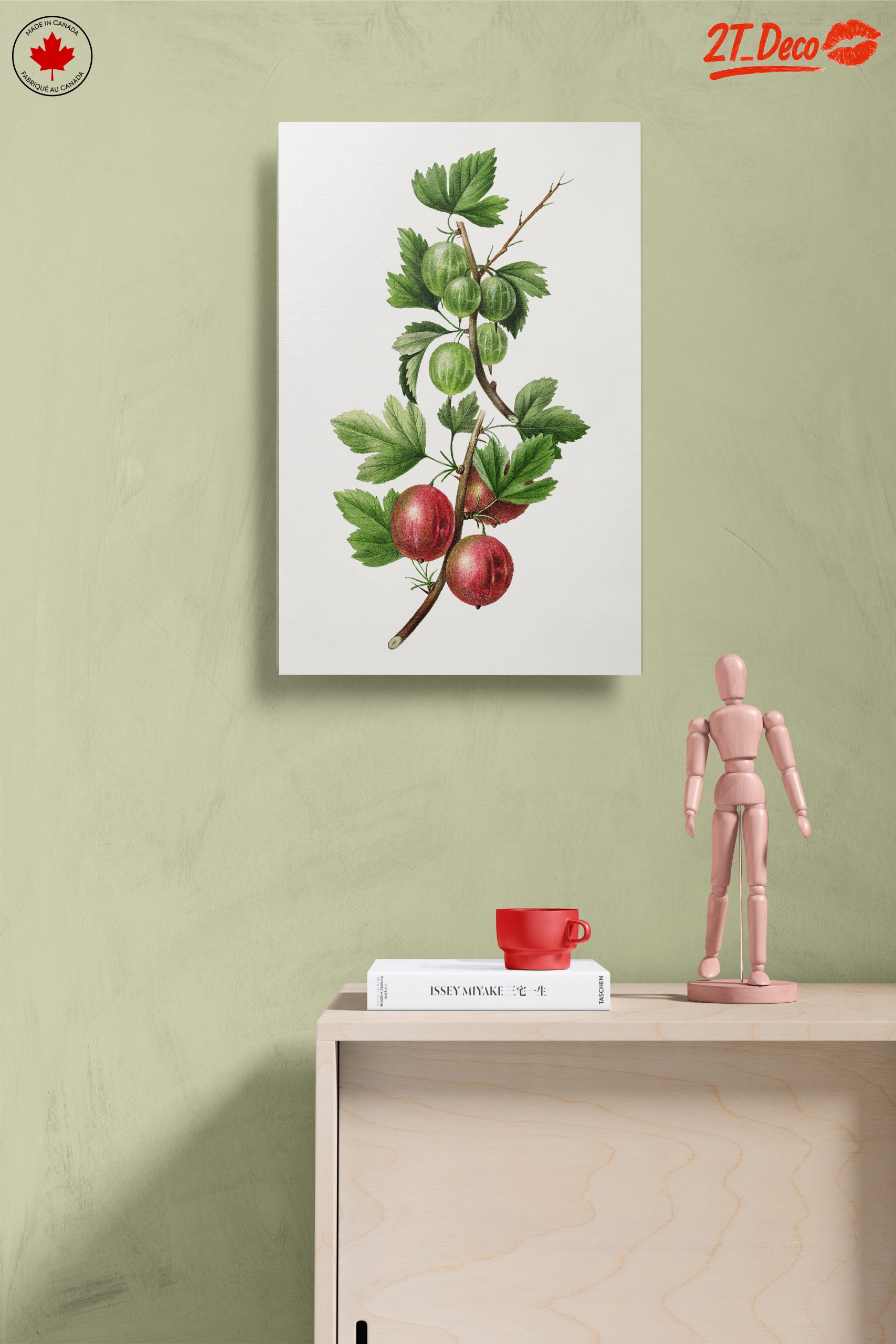 Gooseberries Botanical Illustration - Image 14