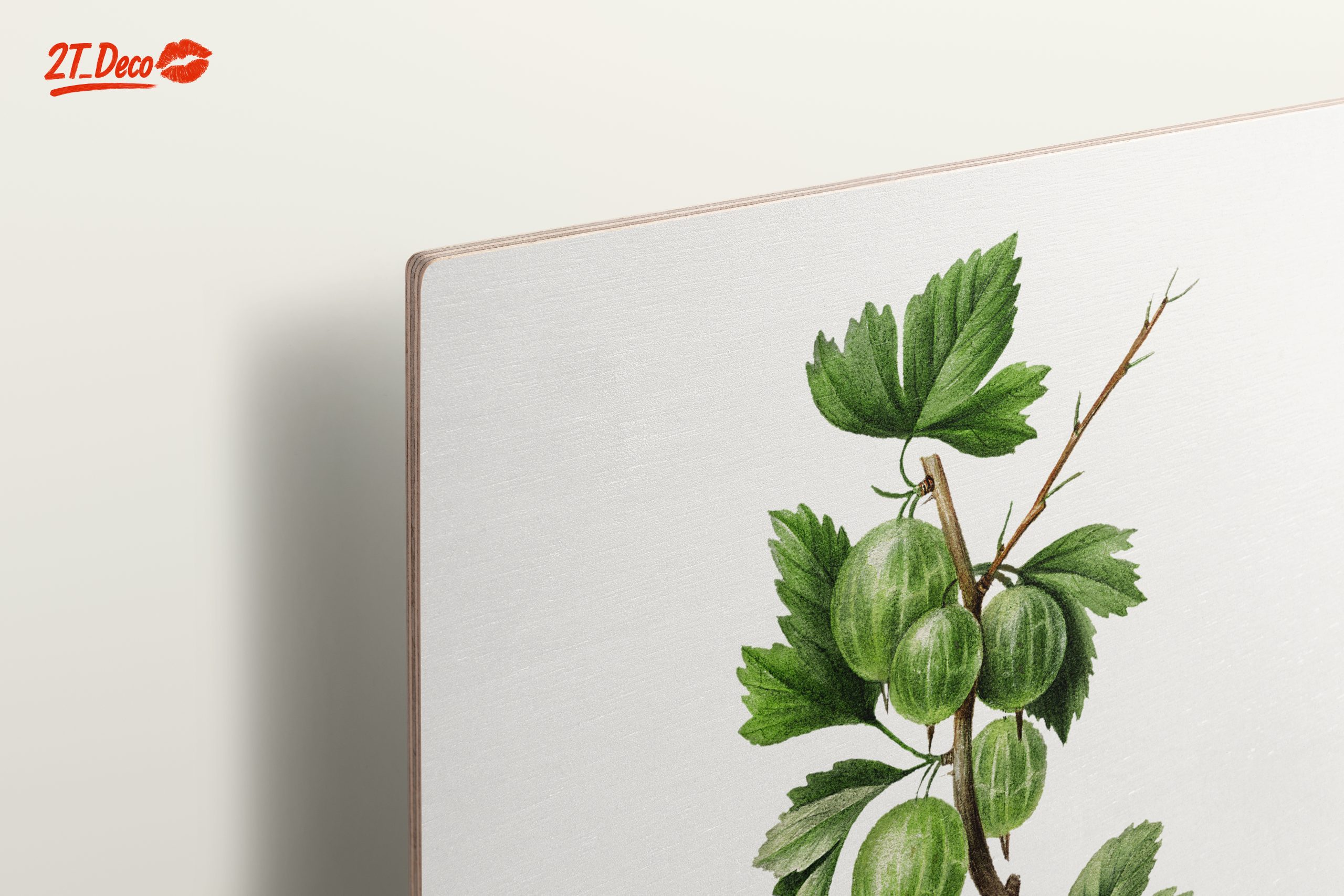 Gooseberries Botanical Illustration - Image 15