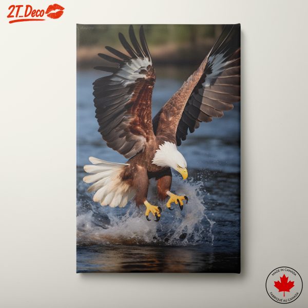 Bald Eagle Catching Fish