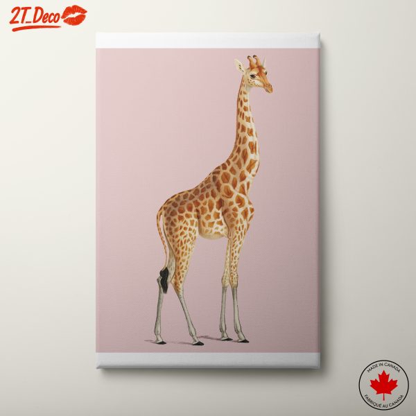 Cute Giraffe Illustration on Pink Background