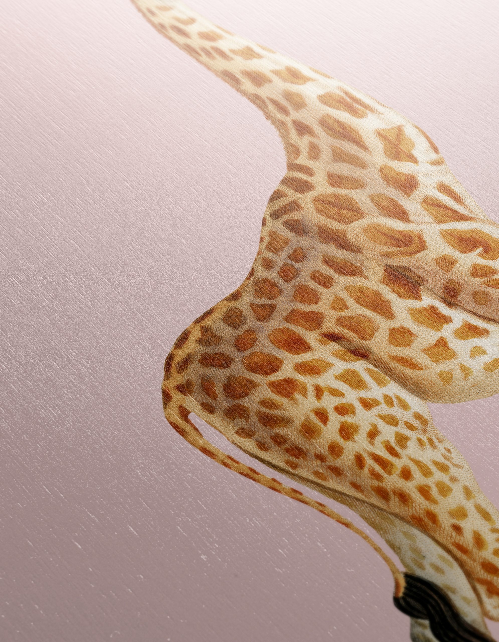 Cute Giraffe Illustration on Pink Background - Image 12