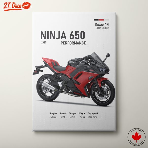 Kawasaki Ninja 650 Performance Artwork