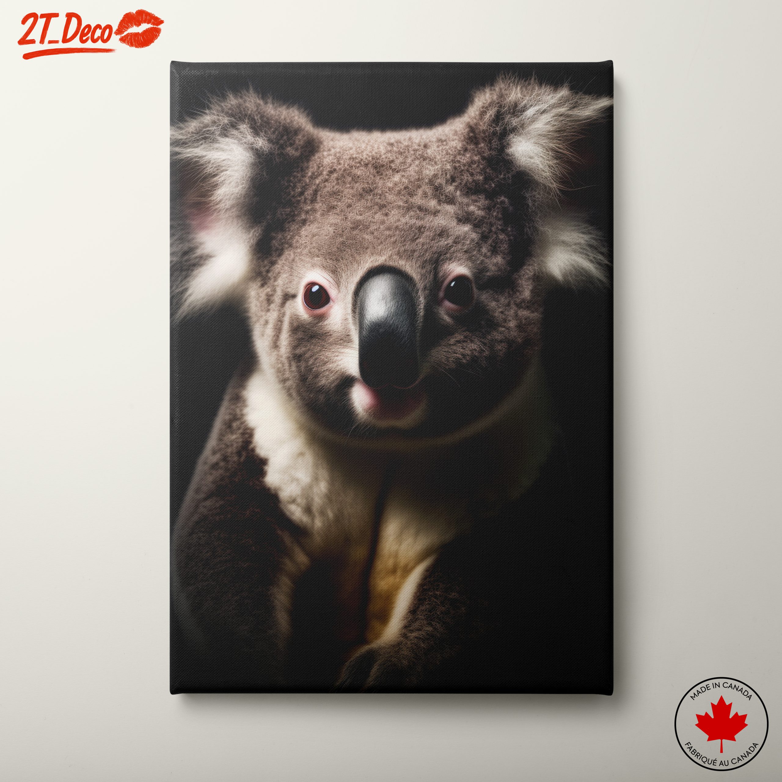 Close-Up Portrait of a Koala
