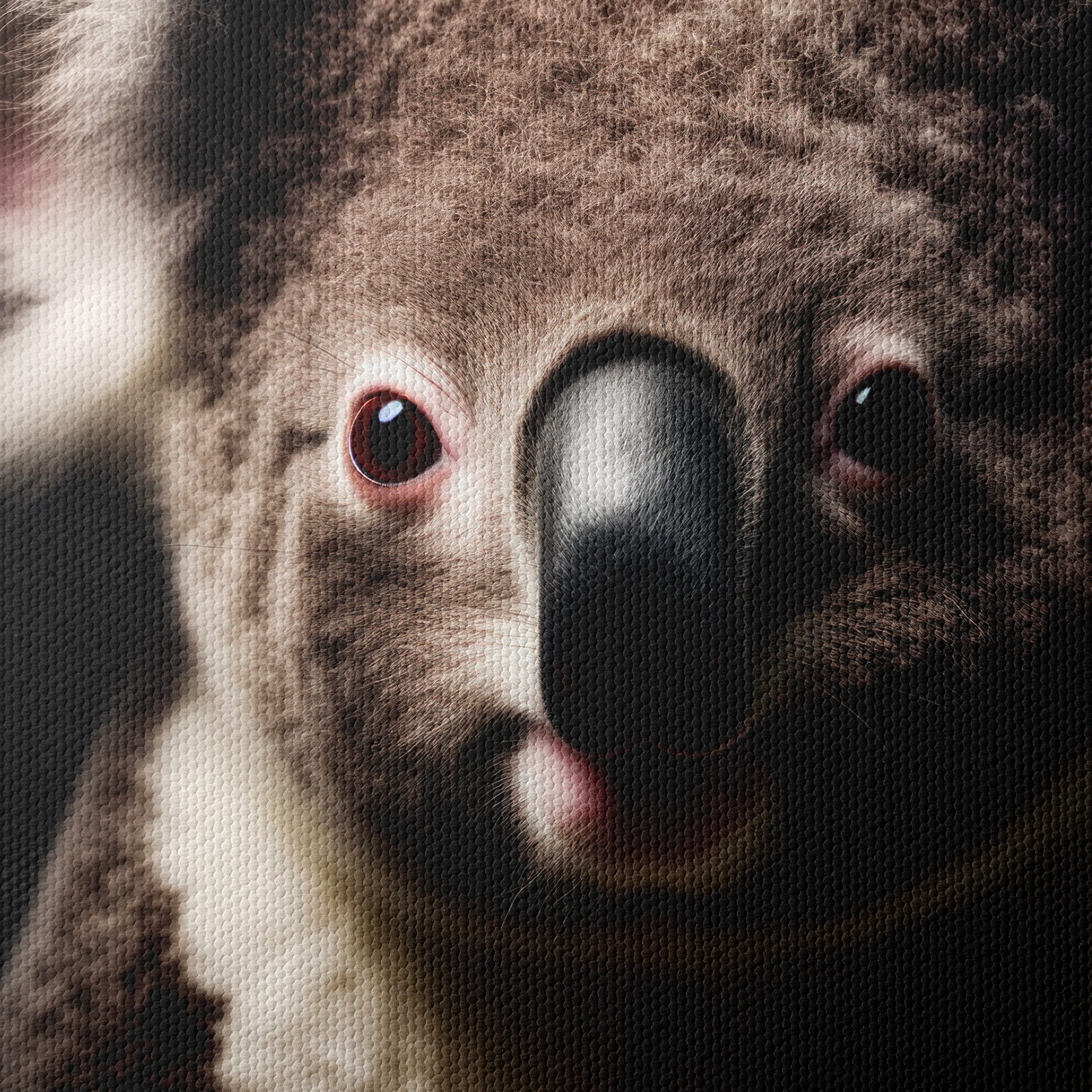 Close-Up Portrait of a Koala - Image 4