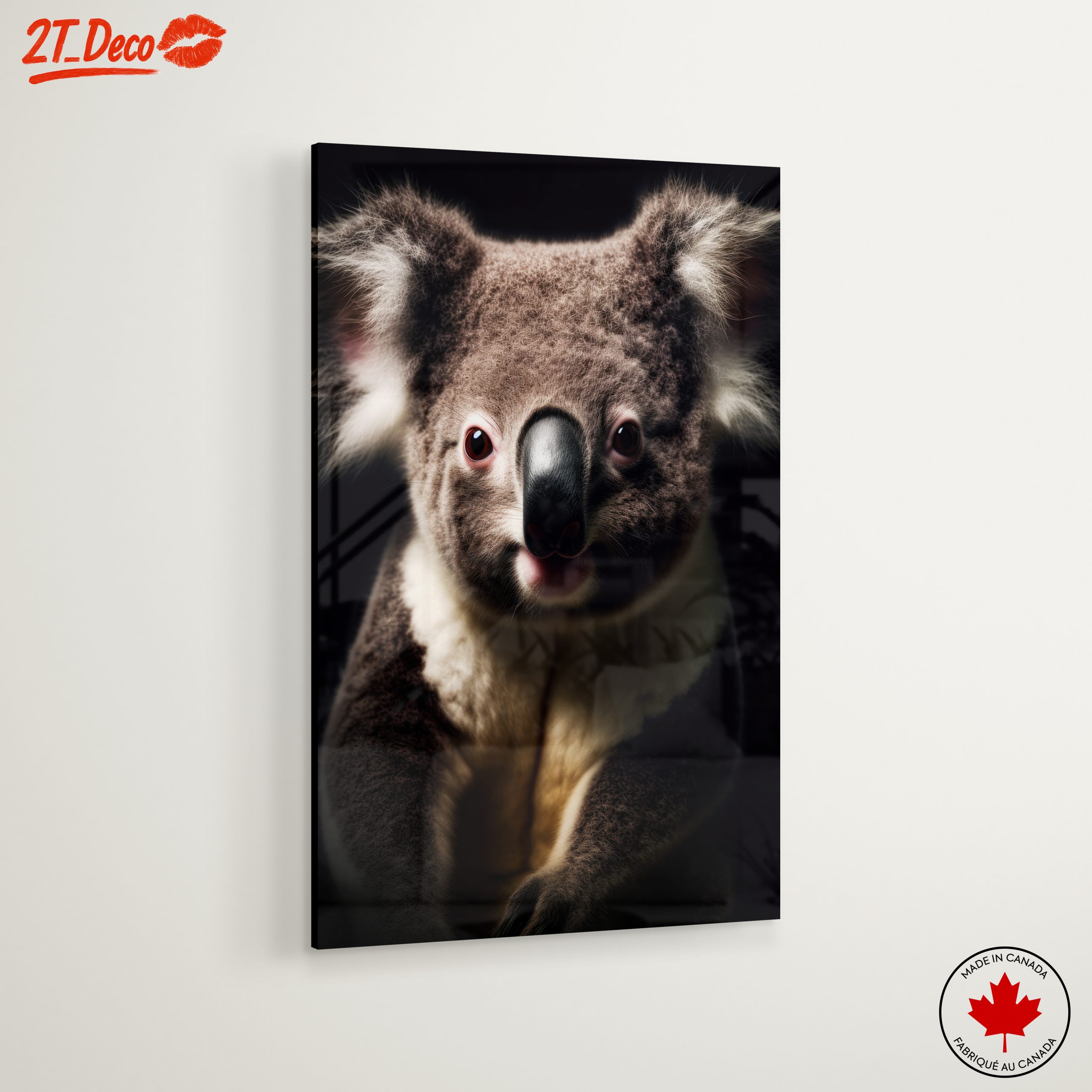 Close-Up Portrait of a Koala - Image 6