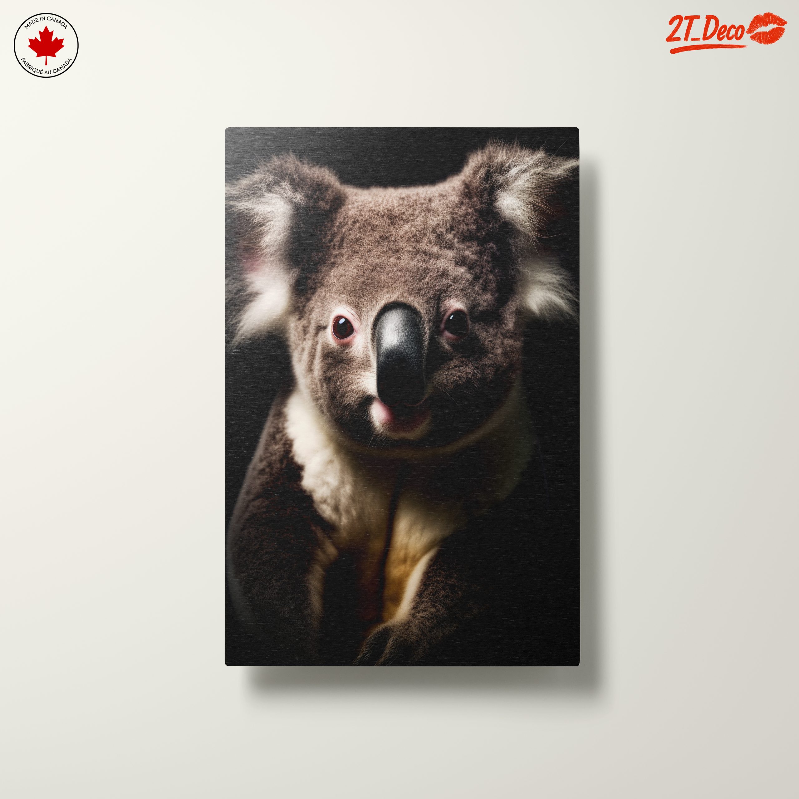 Close-Up Portrait of a Koala - Image 10