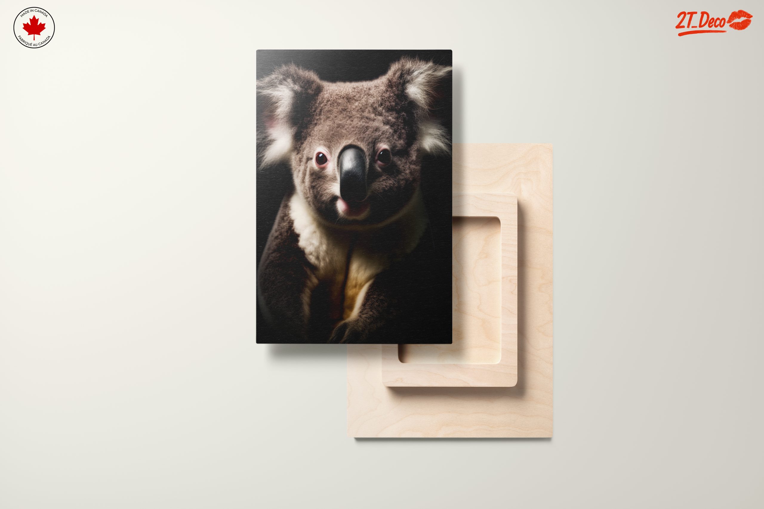 Close-Up Portrait of a Koala - Image 11
