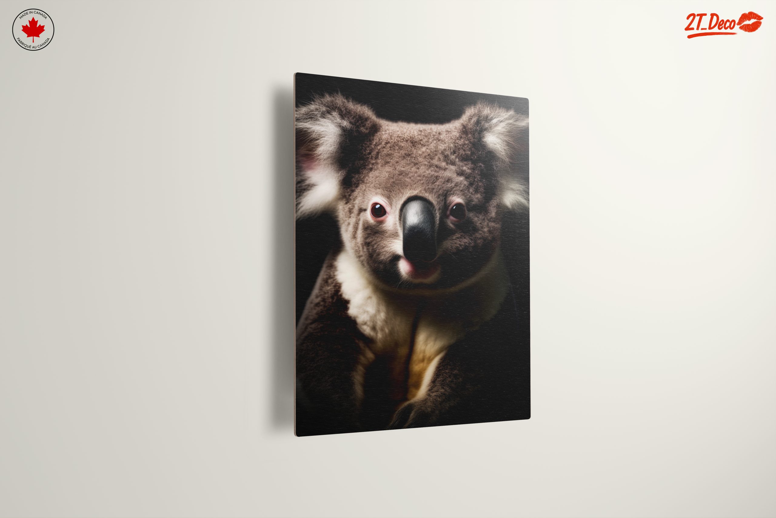 Close-Up Portrait of a Koala - Image 13