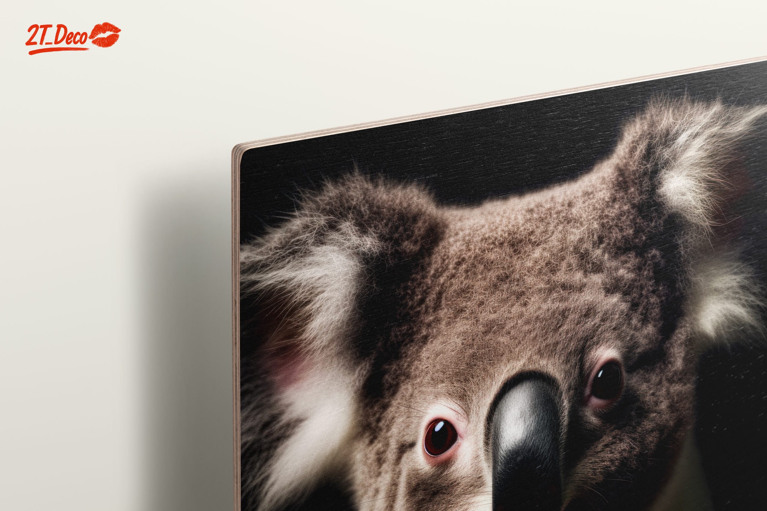 Close-Up Portrait of a Koala - Image 15