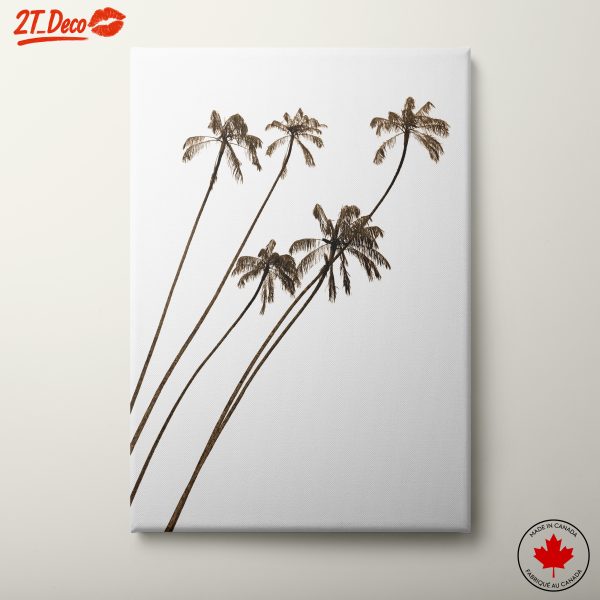 Palm Trees Against White Background