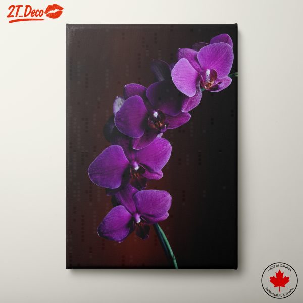 Stunning Purple Orchid Flower Art