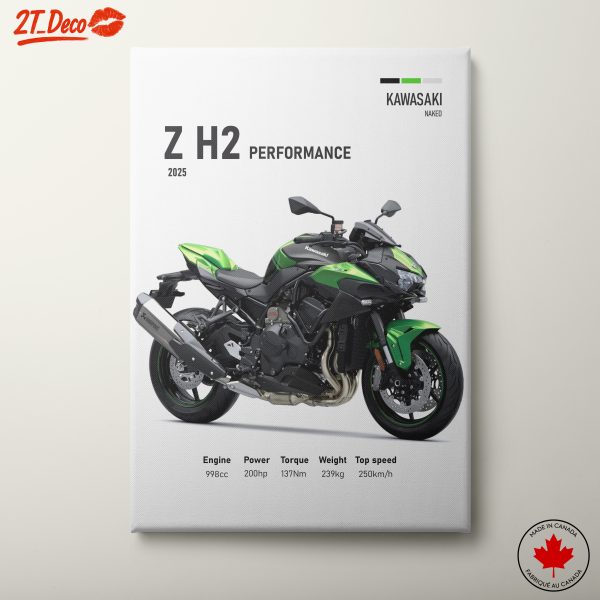 Kawasaki Z H2 Performance Motorcycle