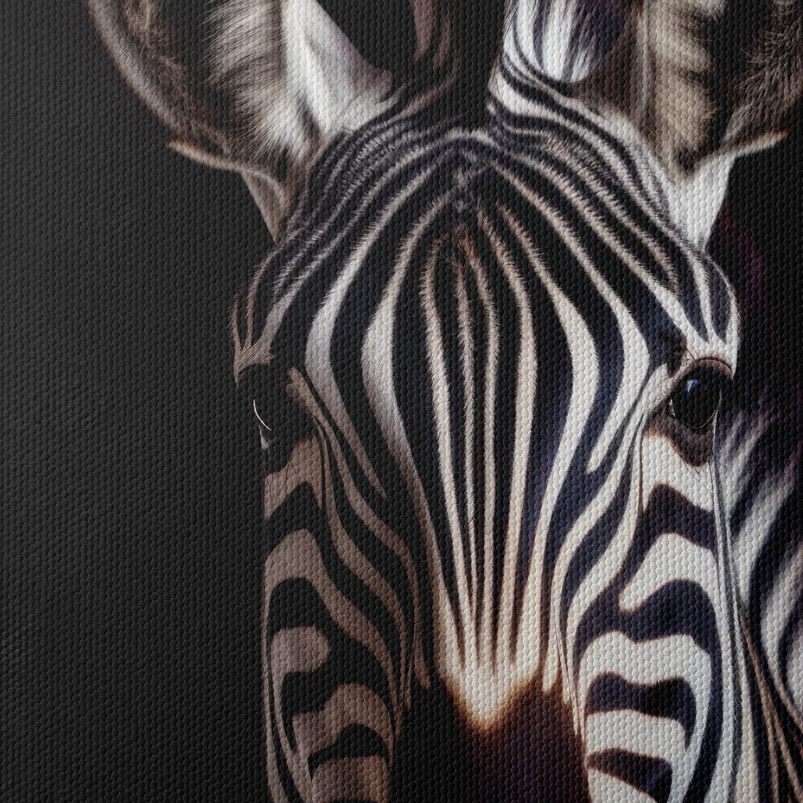 Zebra Portrait in Striking Black and White - Image 4